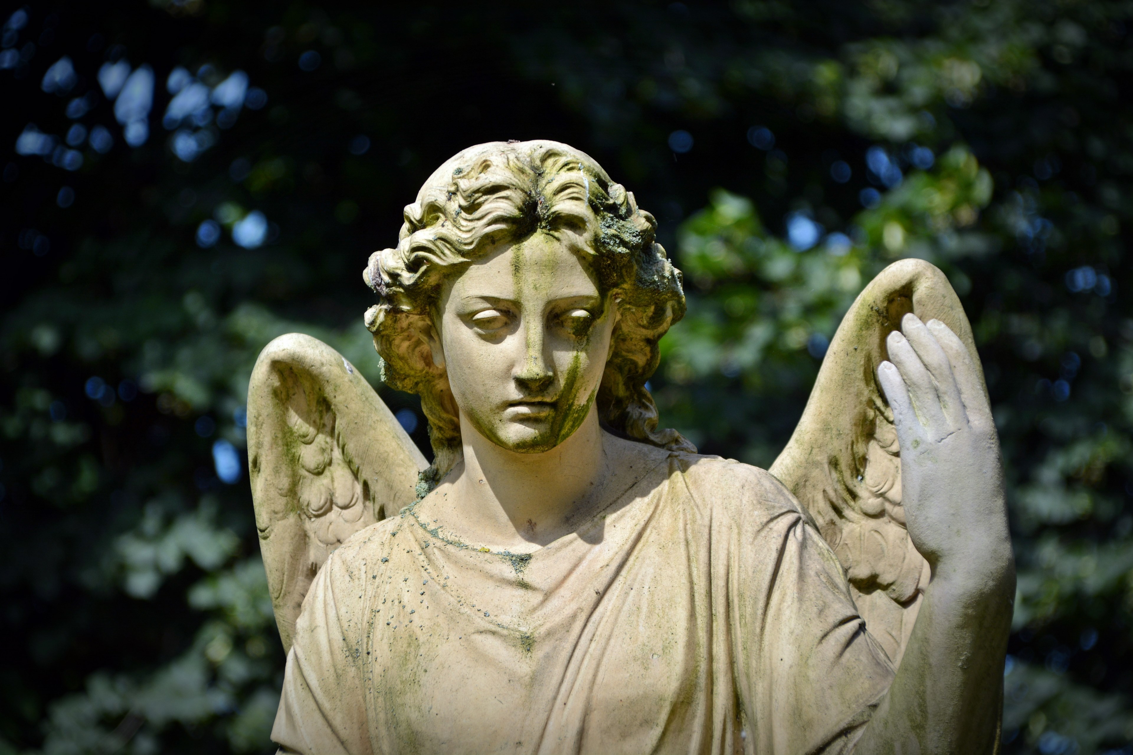 Wallpaper / angel figure mourning hope sculpture face statue 4k wallpaper free download
