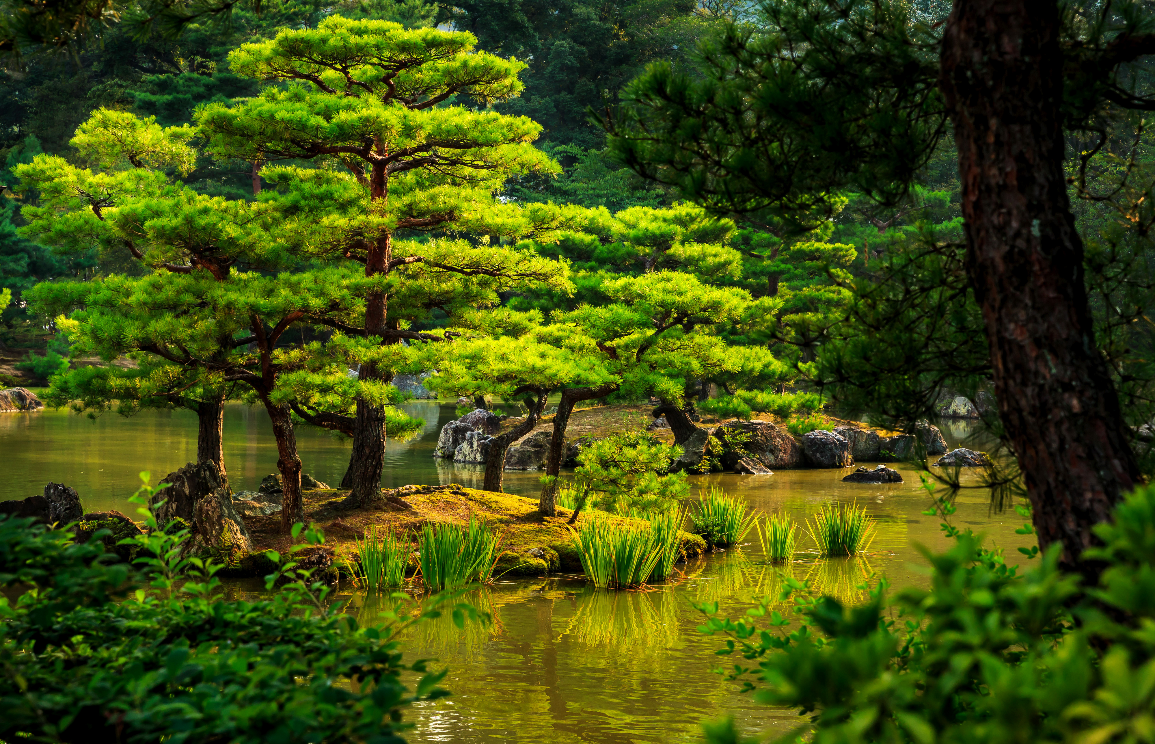 Man Made Japanese Garden 4k Ultra HD Wallpaper