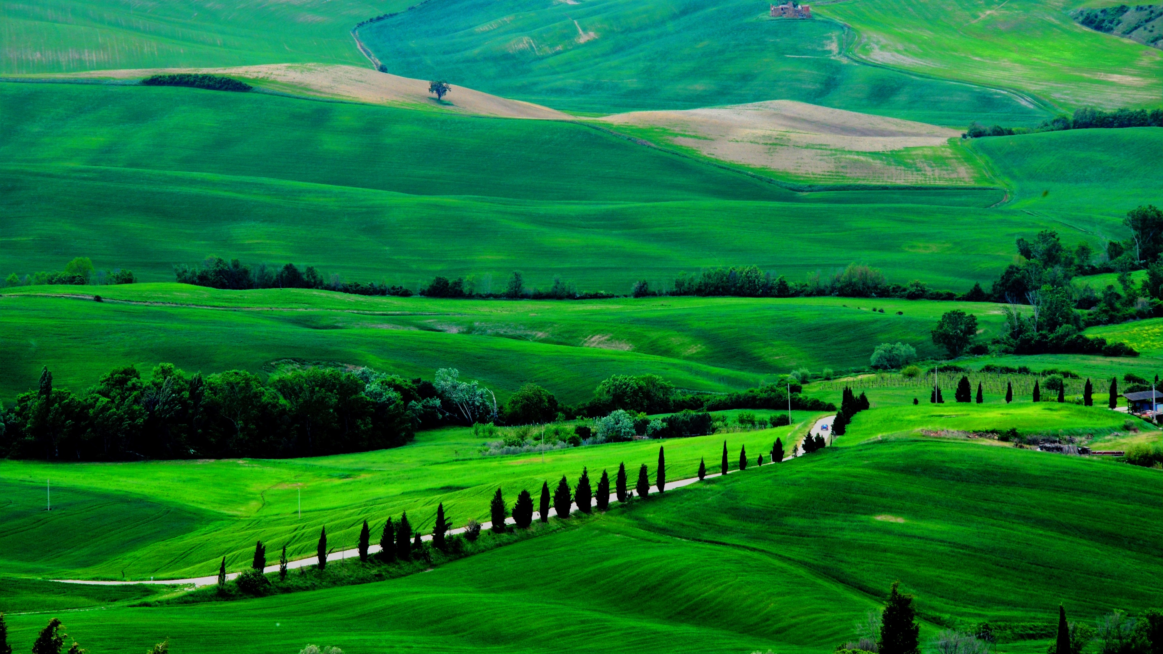 Wallpaper / Tuscany, 4k, HD wallpaper, Italy, Meadows, hills, pines, trees free download