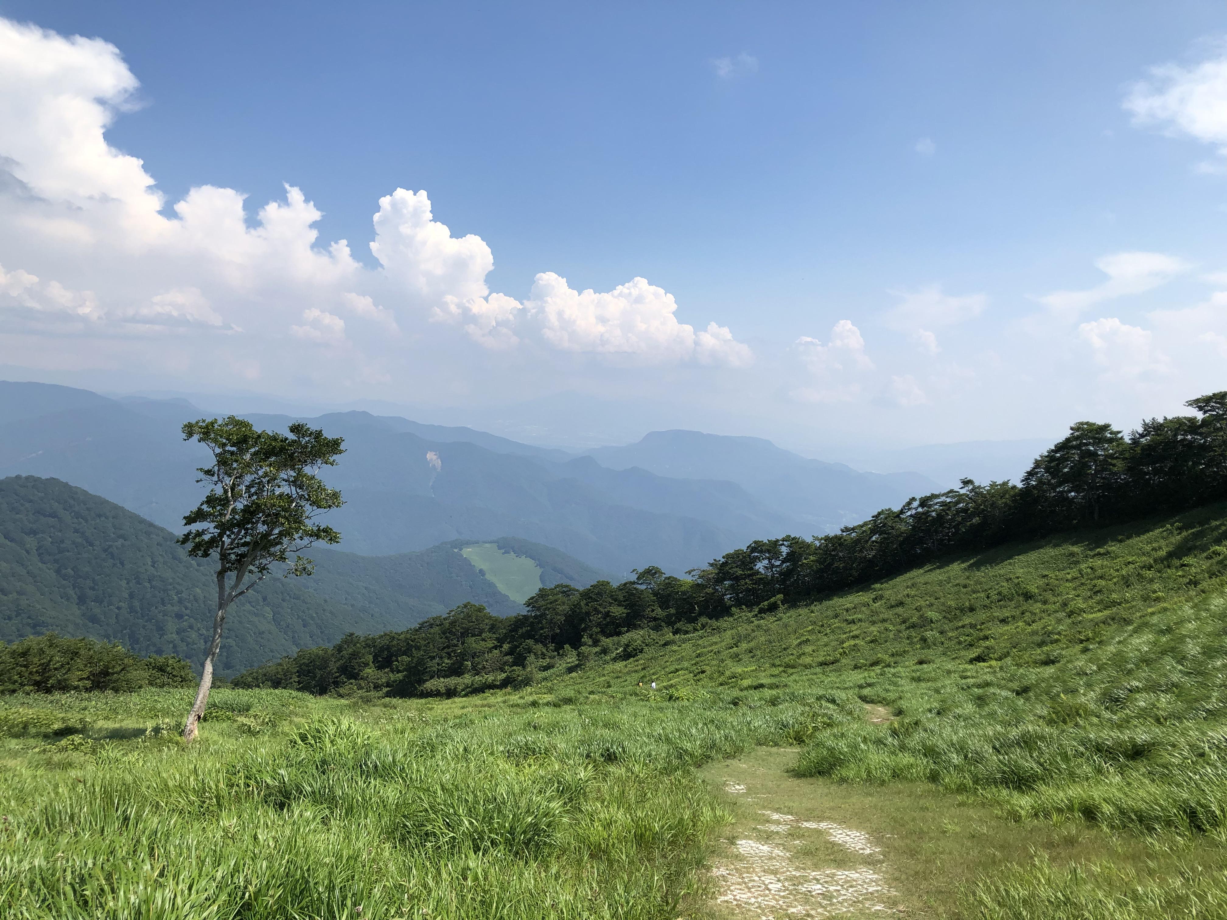 Japan Nature 4K wallpaper