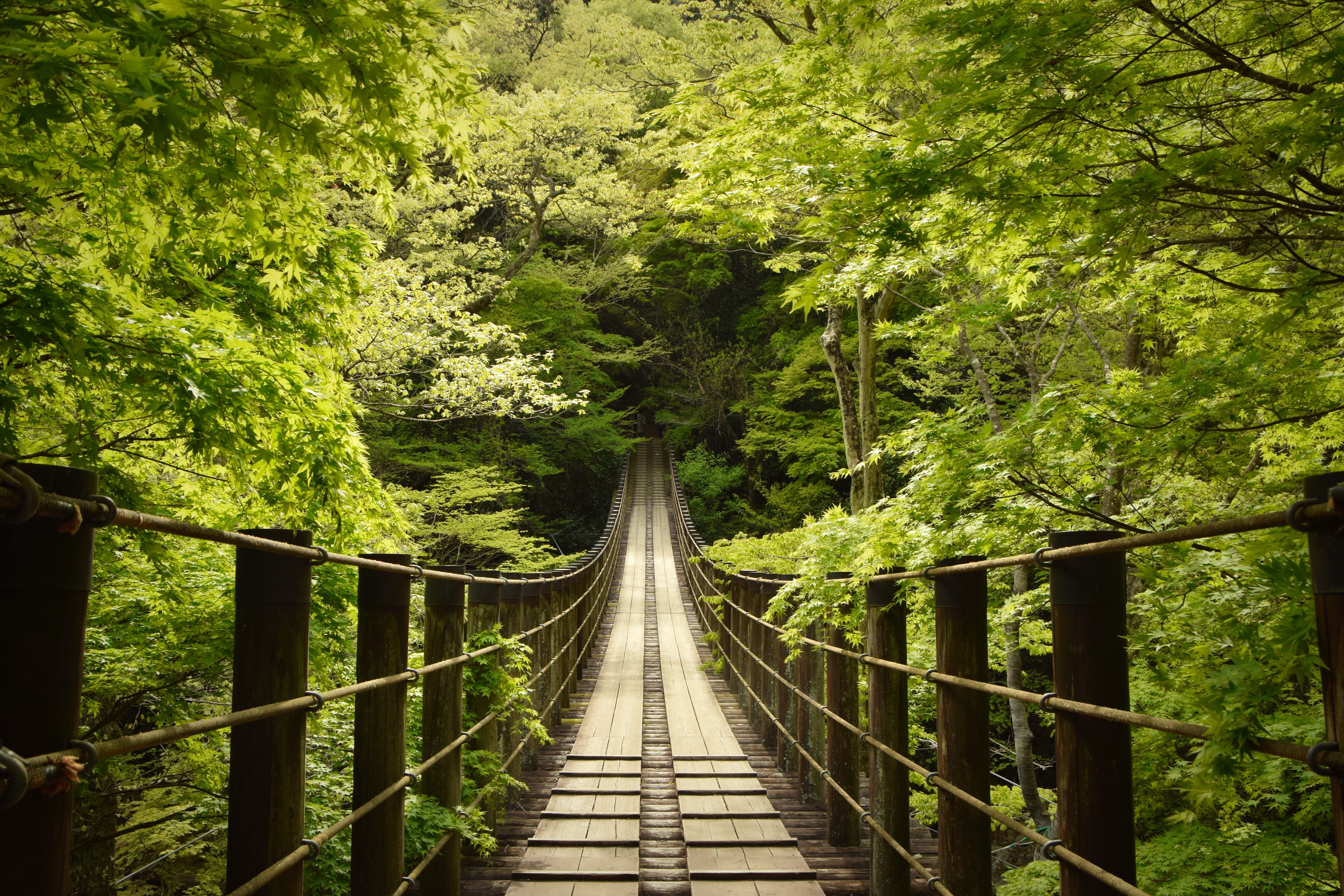 Hananuki Gorge Wallpaper 4K, Japan, Scenic Spot