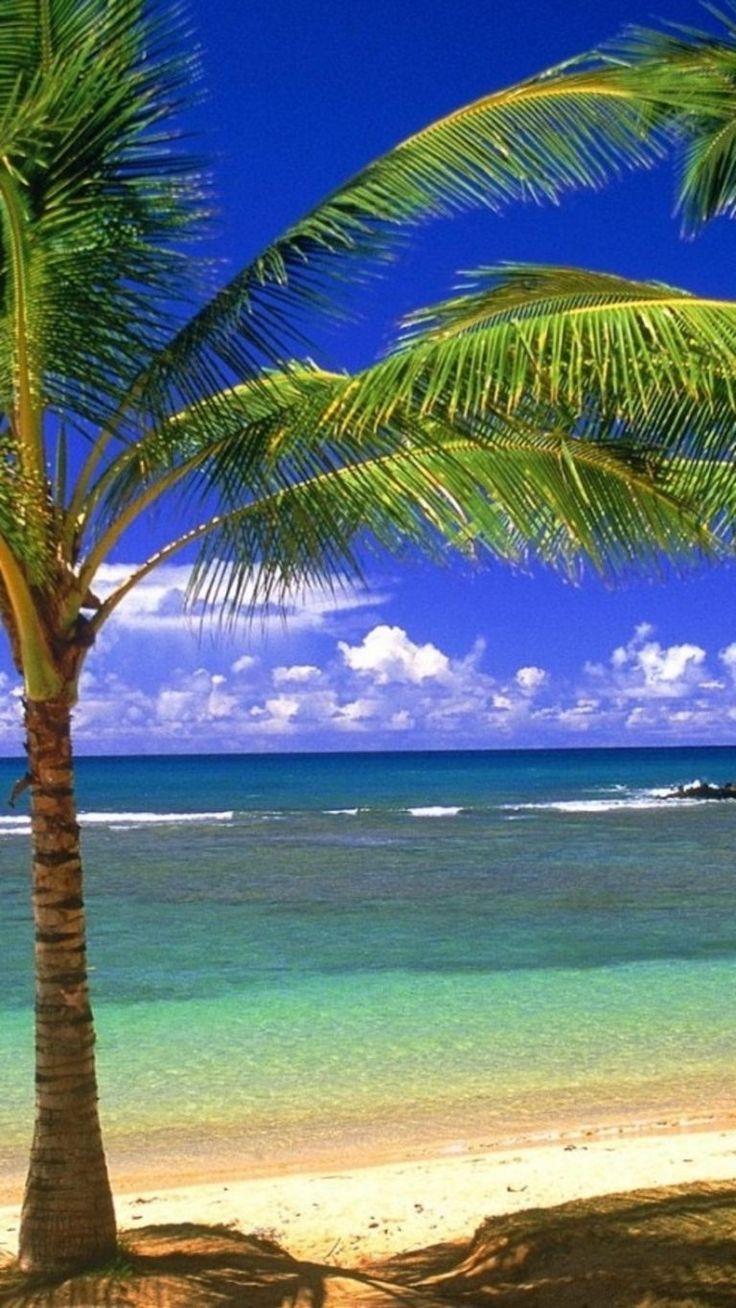 Island beach