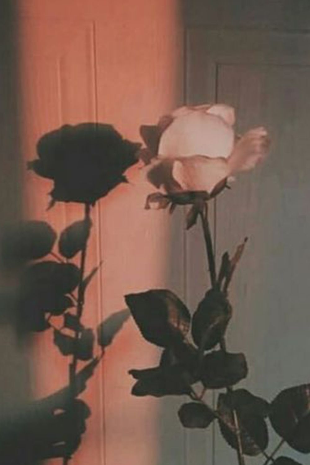 aesthetic wallpaper , aesthetic wallpaper, aesthetic wallpaper ipad, 4k aesthetic wal. Aesthetic desktop wallpaper, Black aesthetic wallpaper, Wallpaper background