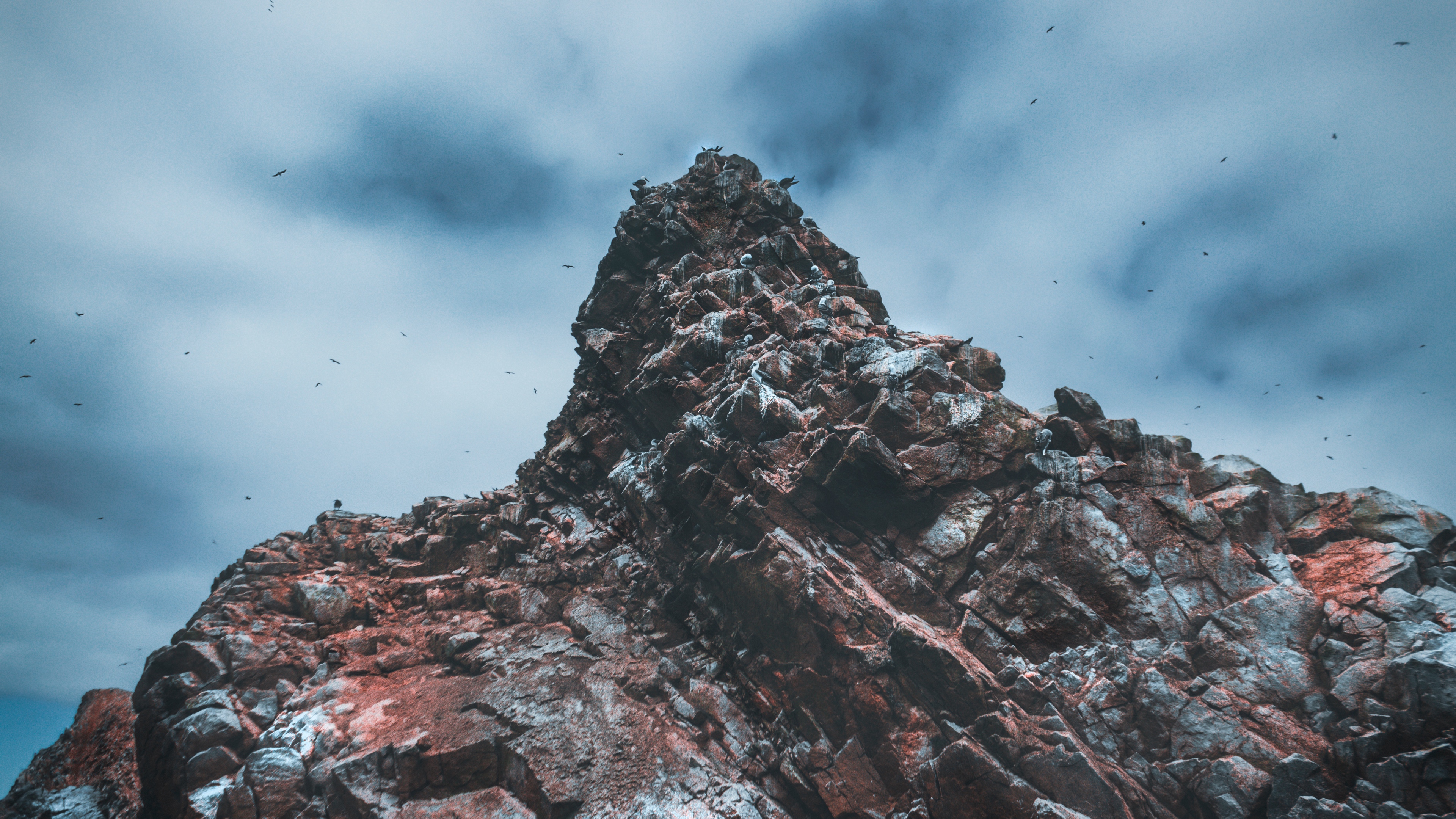 Wallpaper 4k cliffs, rocks, birds, islas ballestas, peru 4k Wallpaper