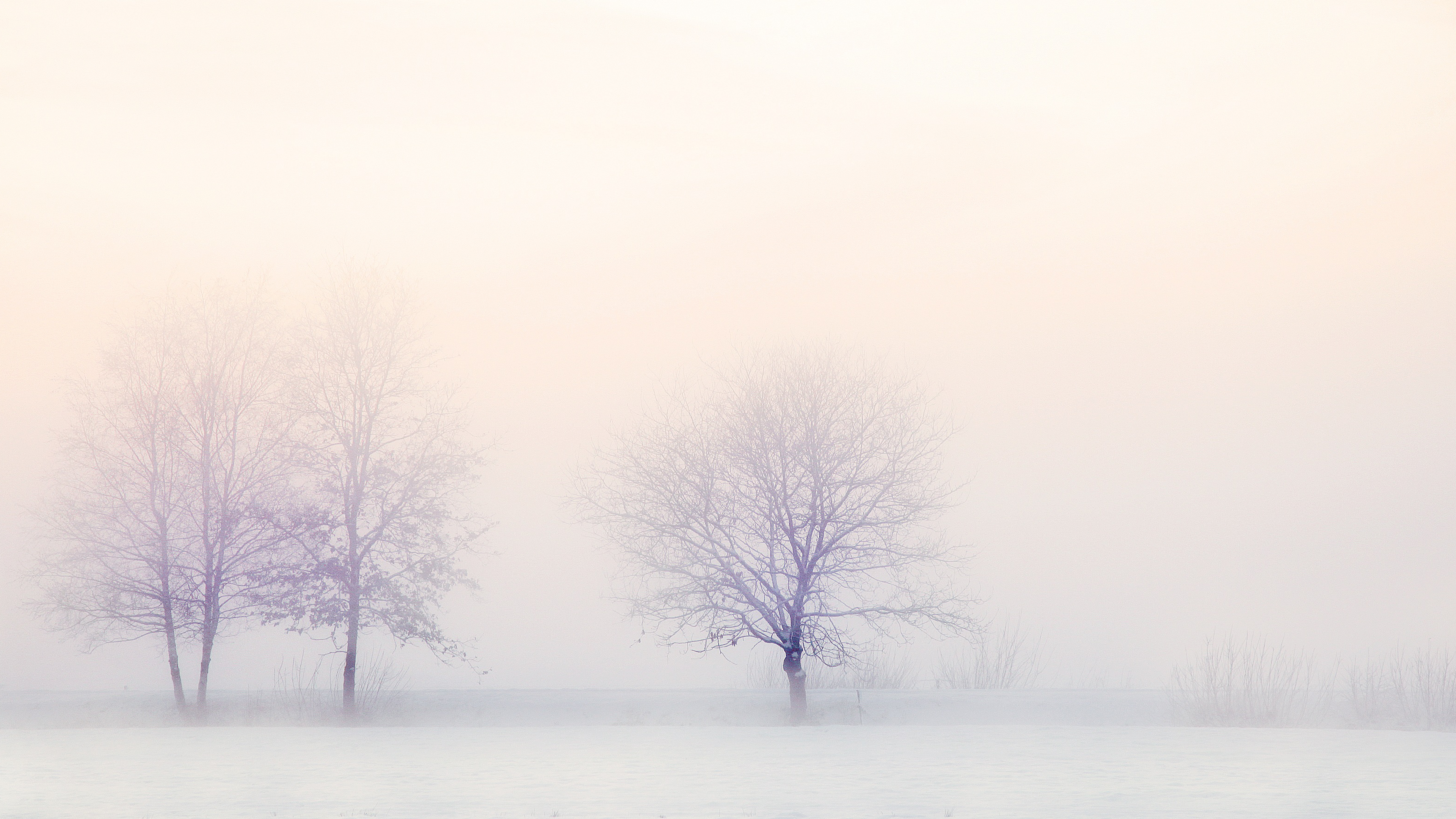 4K White Background High Resolution