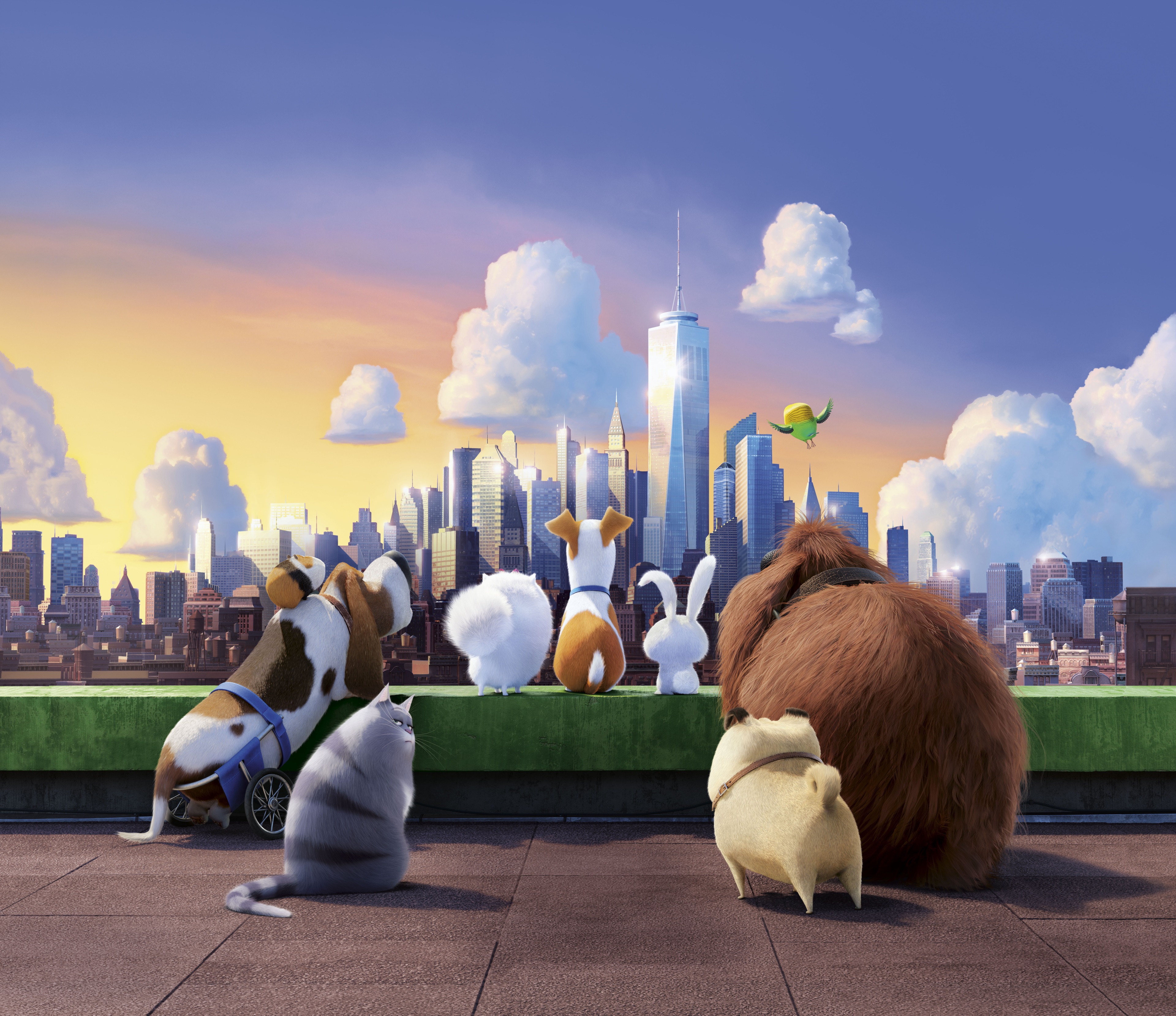 3840x3319 the secret life of pets 4k HD wallpaper high definition Gallery HD Wallpaper