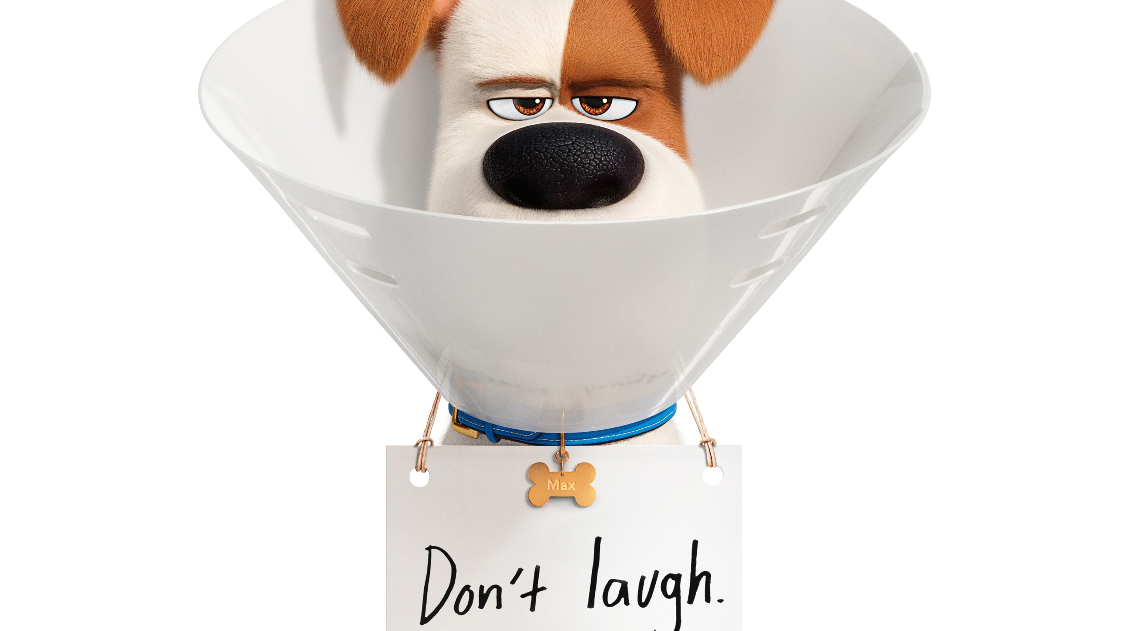 The Secret Life of Pets 2 Film 4K Wallpaper