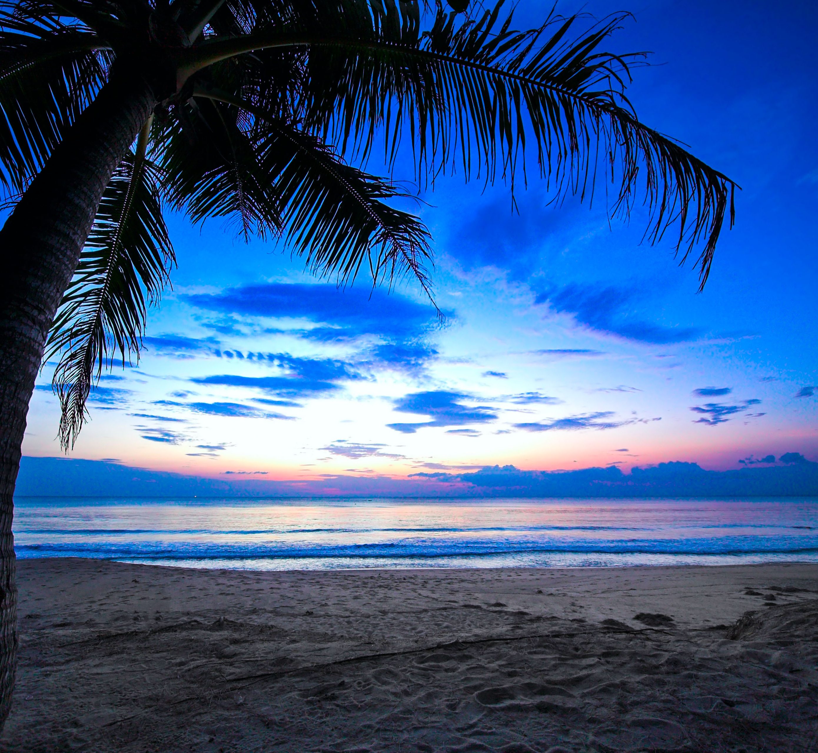 Tree Ocean Water Blue Sky Nature 4K Wallpaper