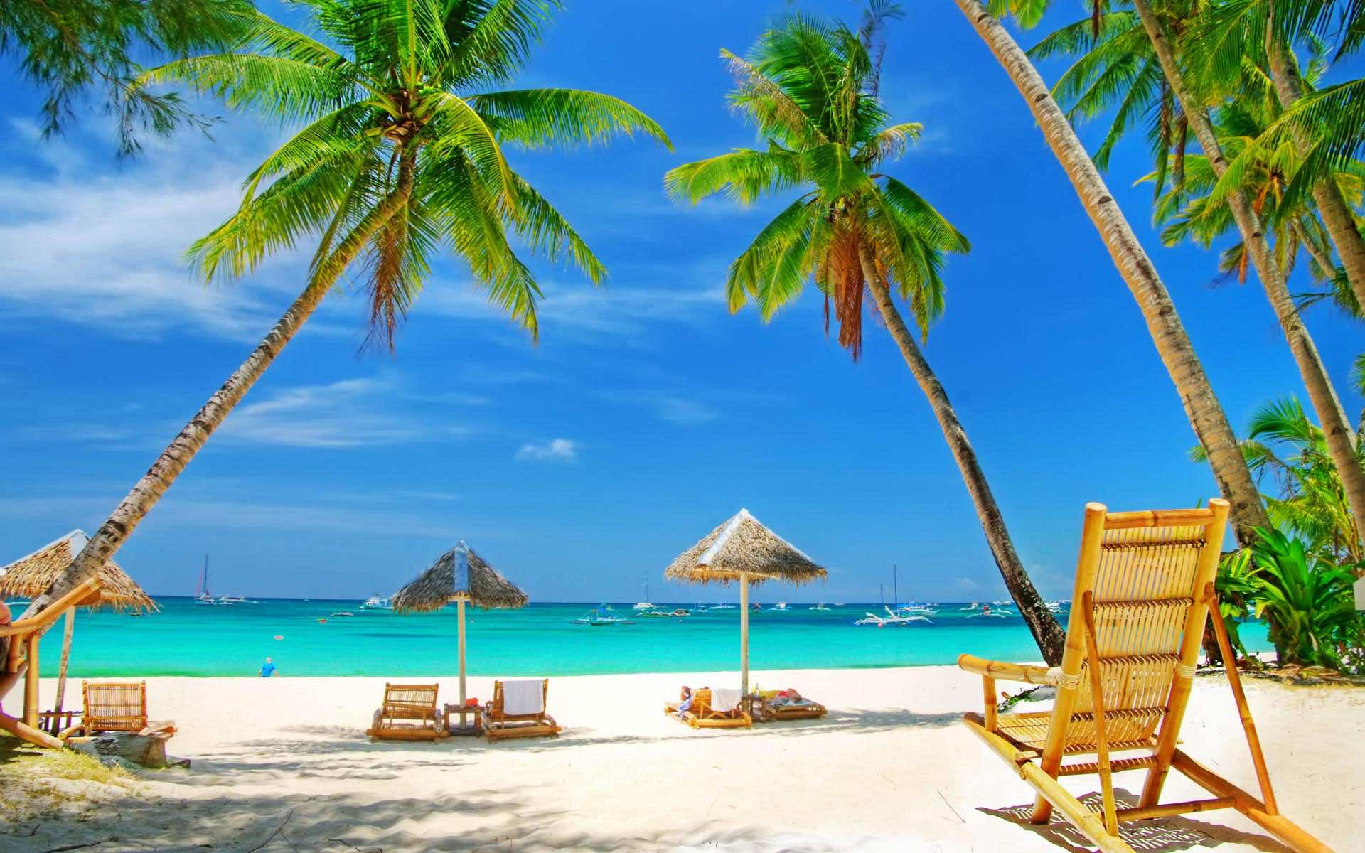 Florida Beach Wallpaper