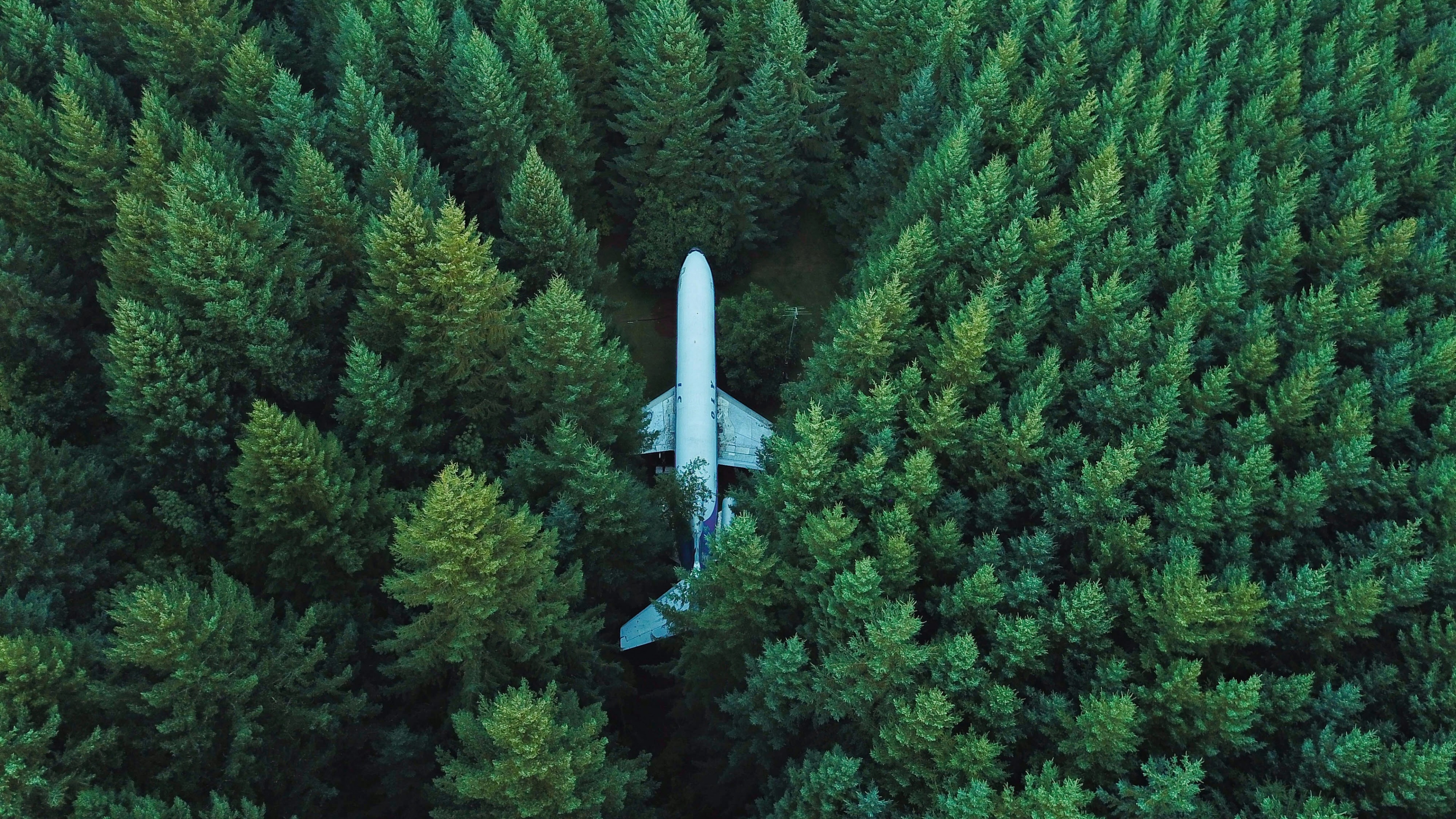 Airplane Wallpaper 4K, Green Trees, Aerial view, Forest