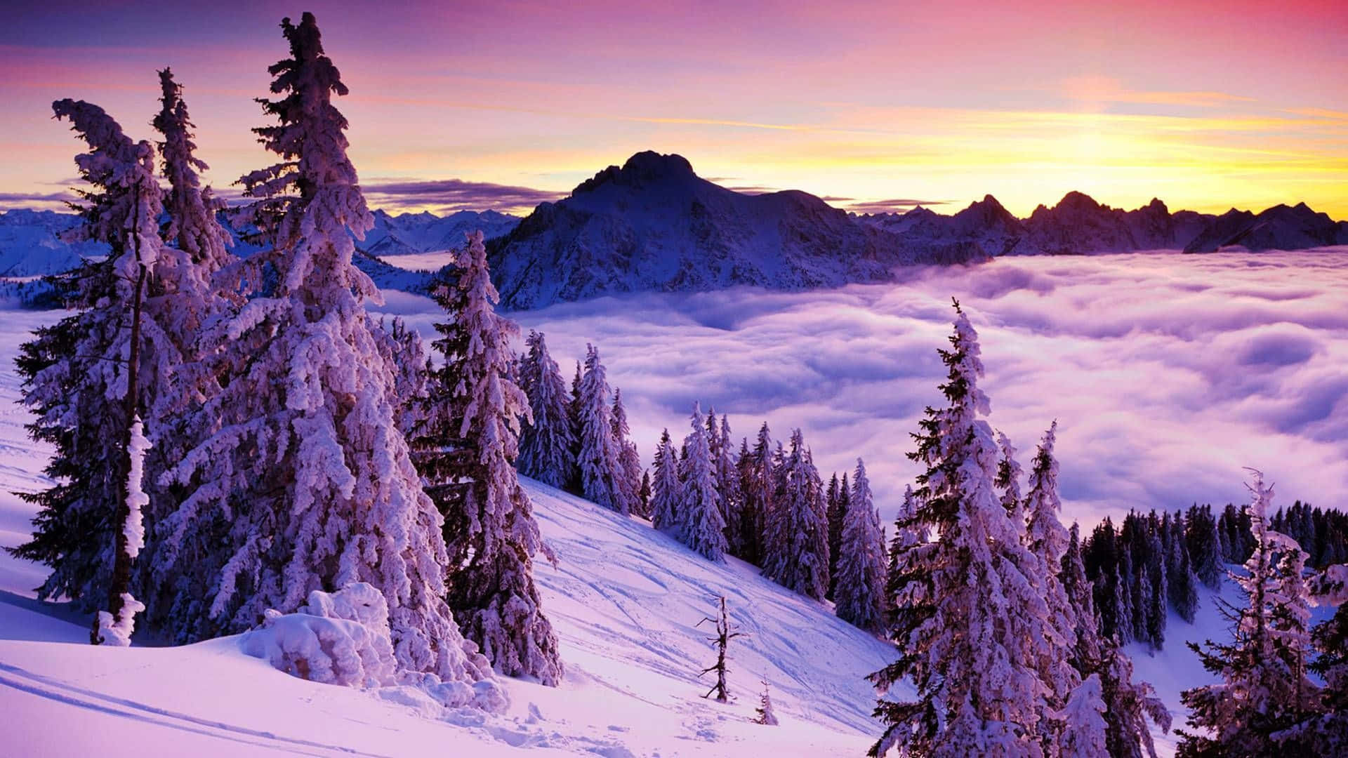 Download Snowy Mountain Top Above The Cloud Cover Snow 4K Wallpaper