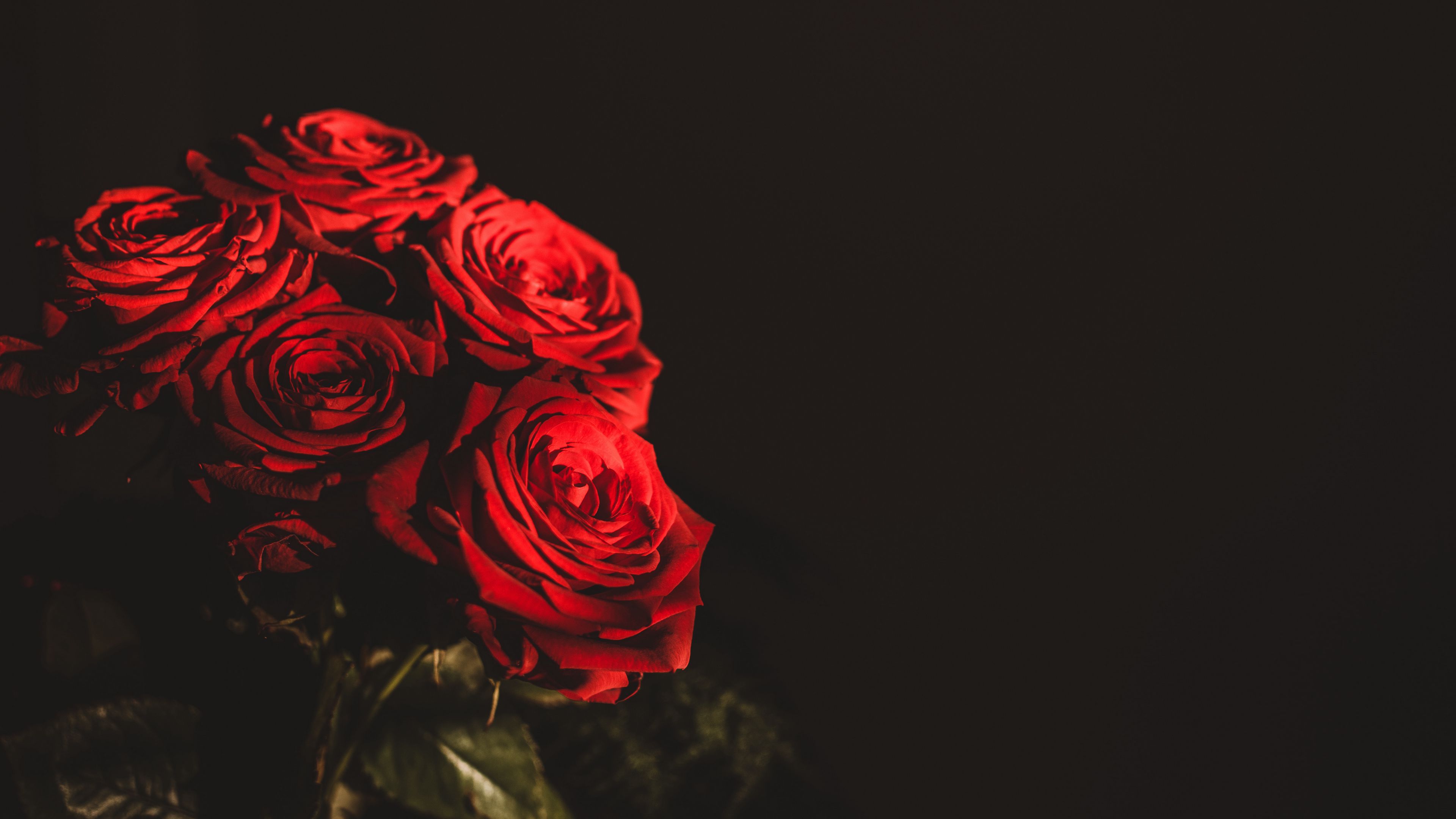 Download wallpaper 3840x2160 roses, bouquet, flowers, dark, red 4k uhd 16:9 HD background