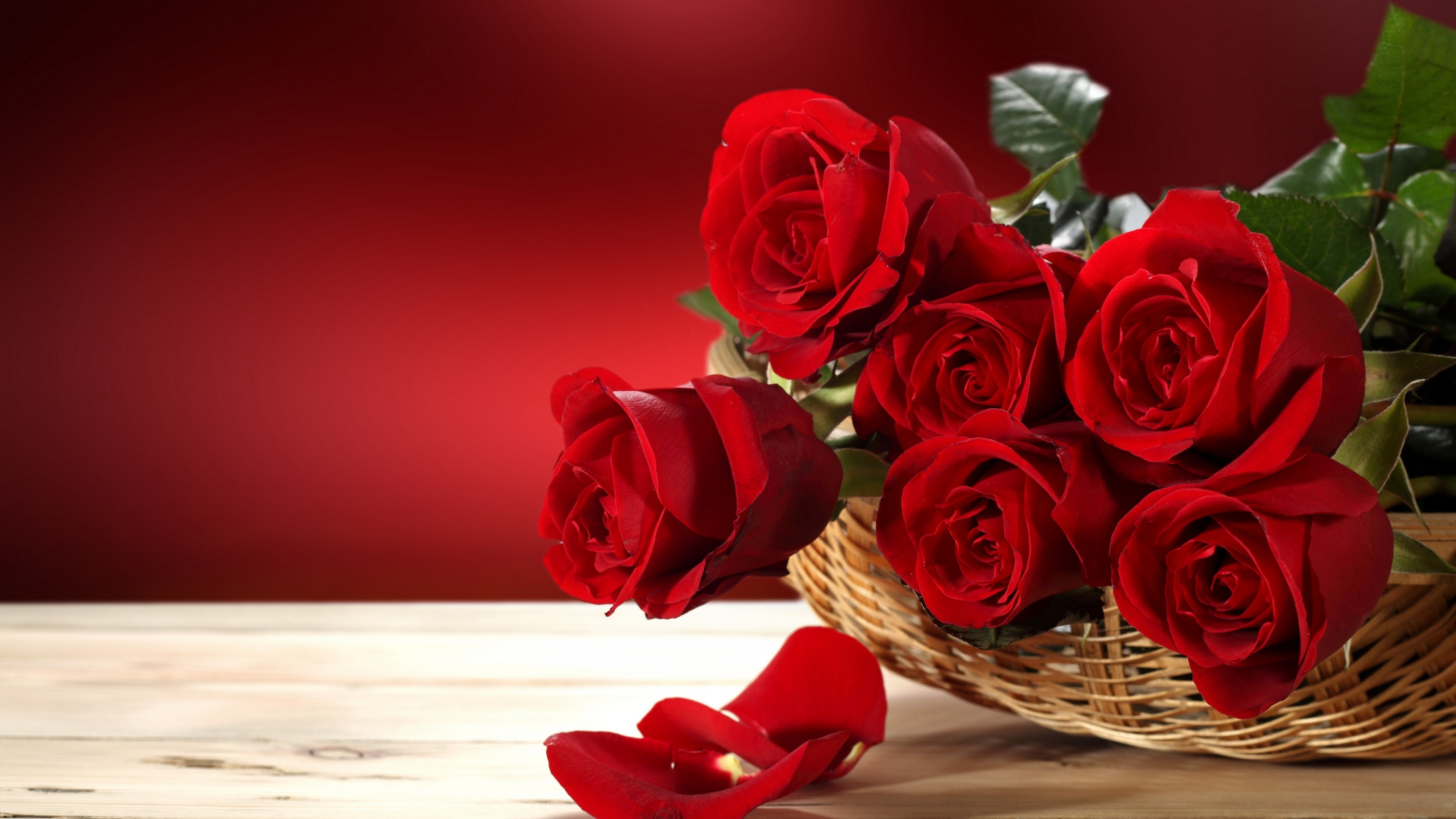 Wallpaper Roses, 5k, 4k wallpaper, Flower bouquet, red, Nature
