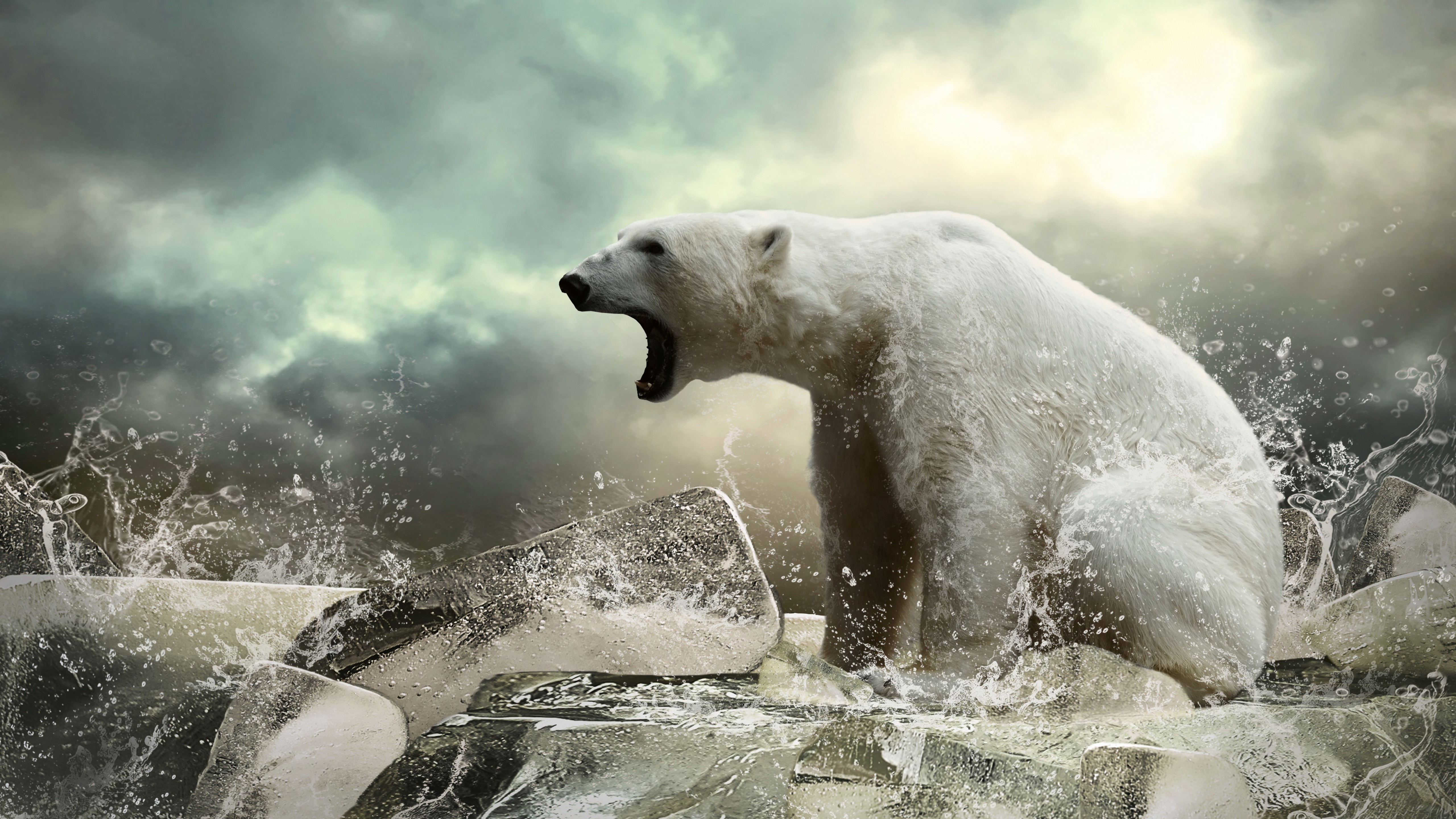 Wallpaper Polar bear, ice, roar, ocean, Animals