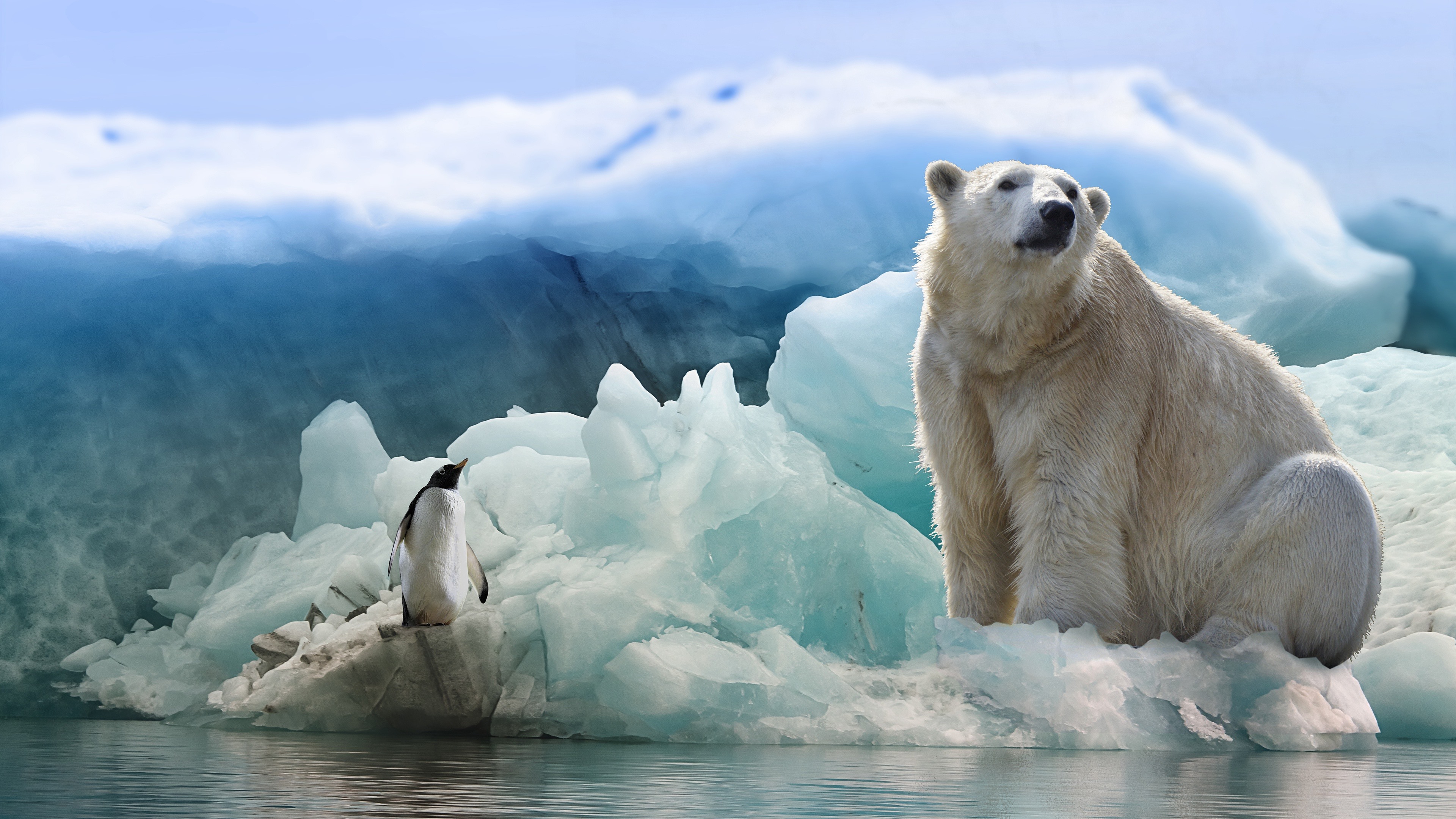 Wallpaper Polar bear and penguin, iceberg 3840x2160 UHD 4K Picture, Image