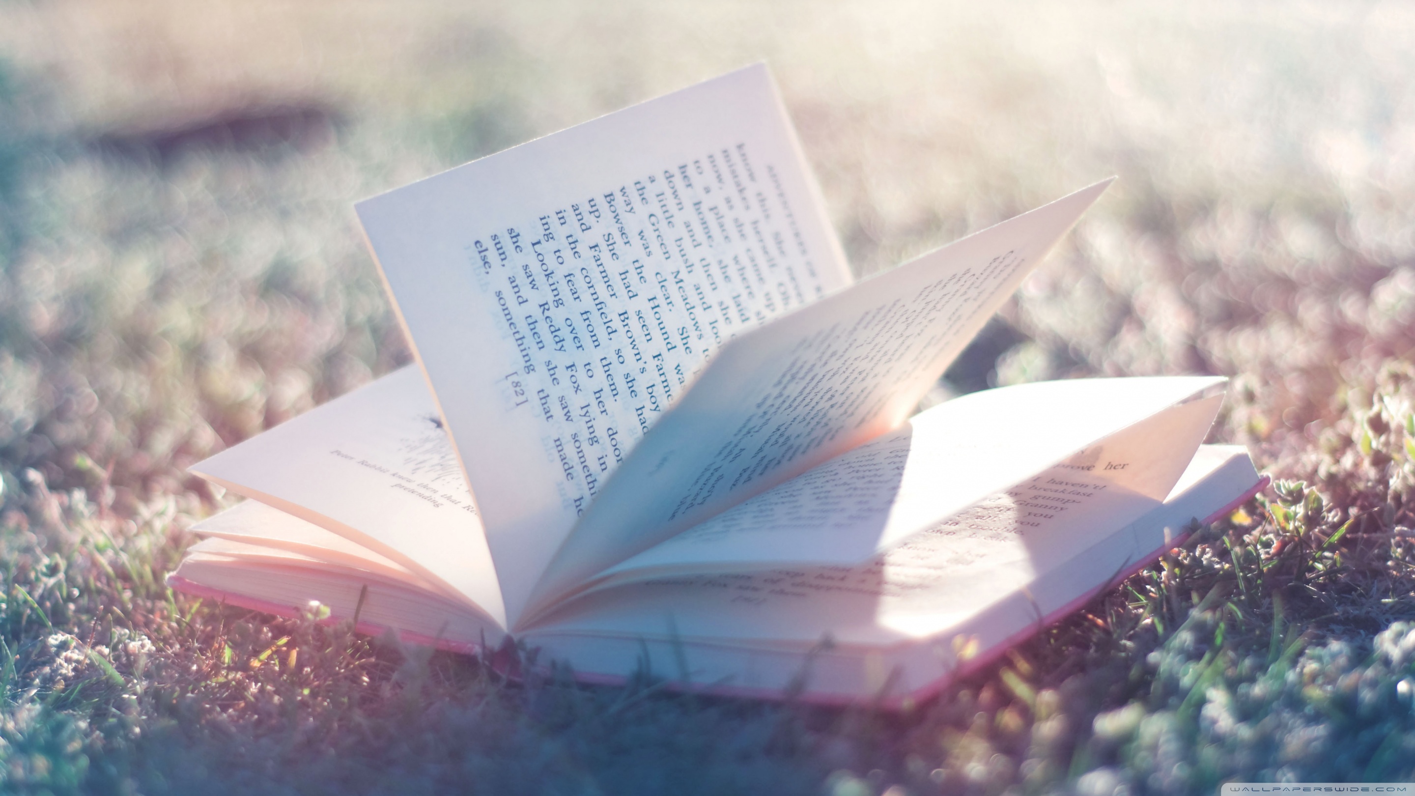 Open Book Ultra HD Desktop Background Wallpaper for 4K UHD TV, Tablet