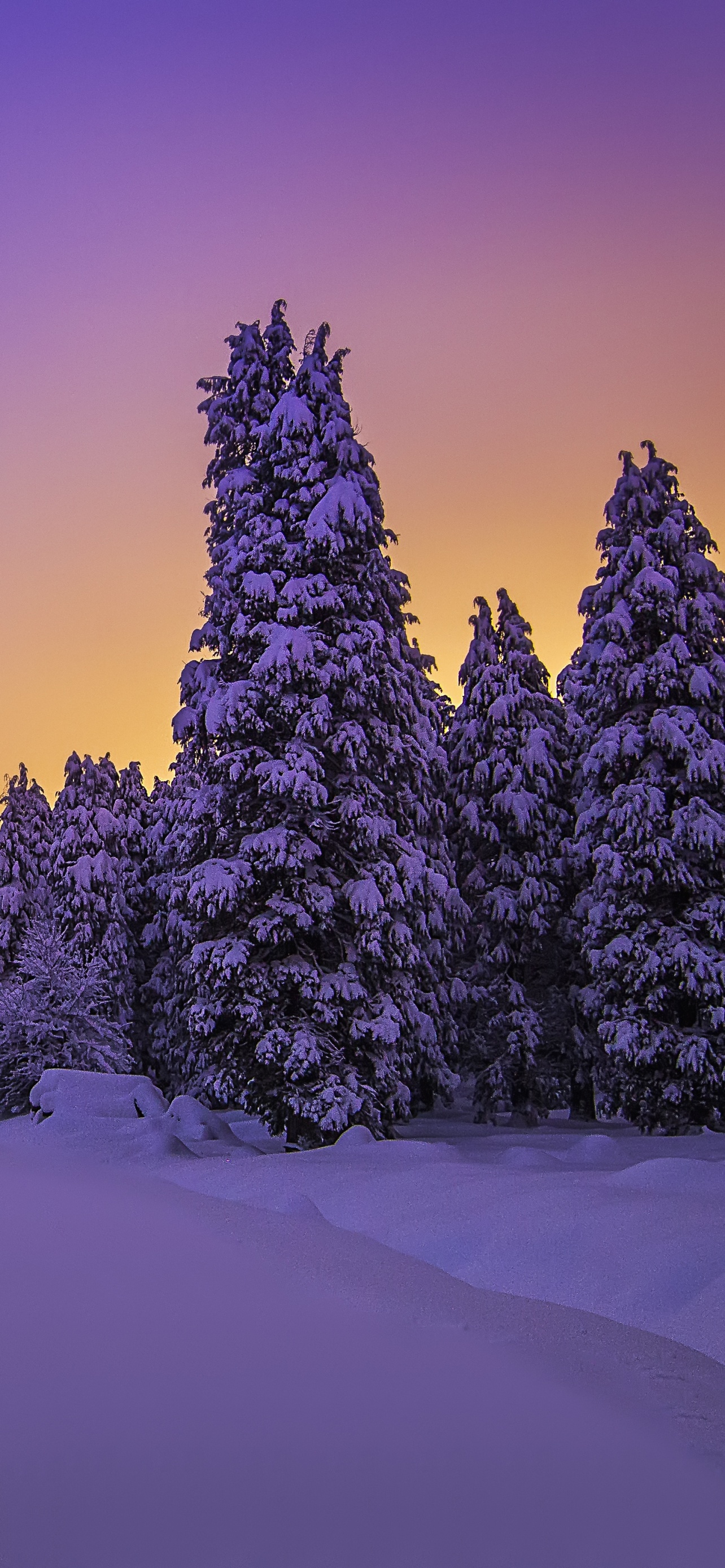 Landscape Wallpaper 4K, Purple sky, Snow covered