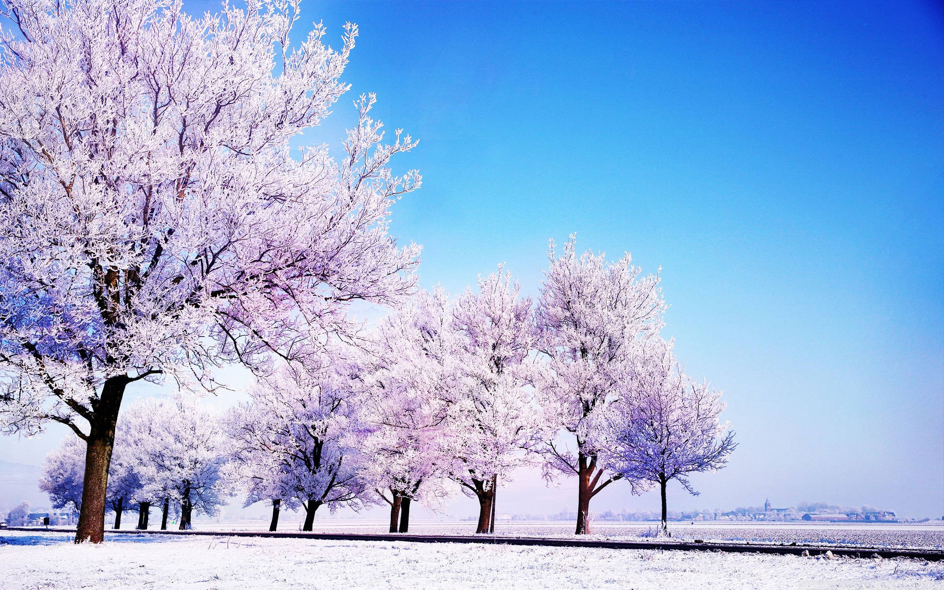 Download Purple Trees In Winter Wallpaper