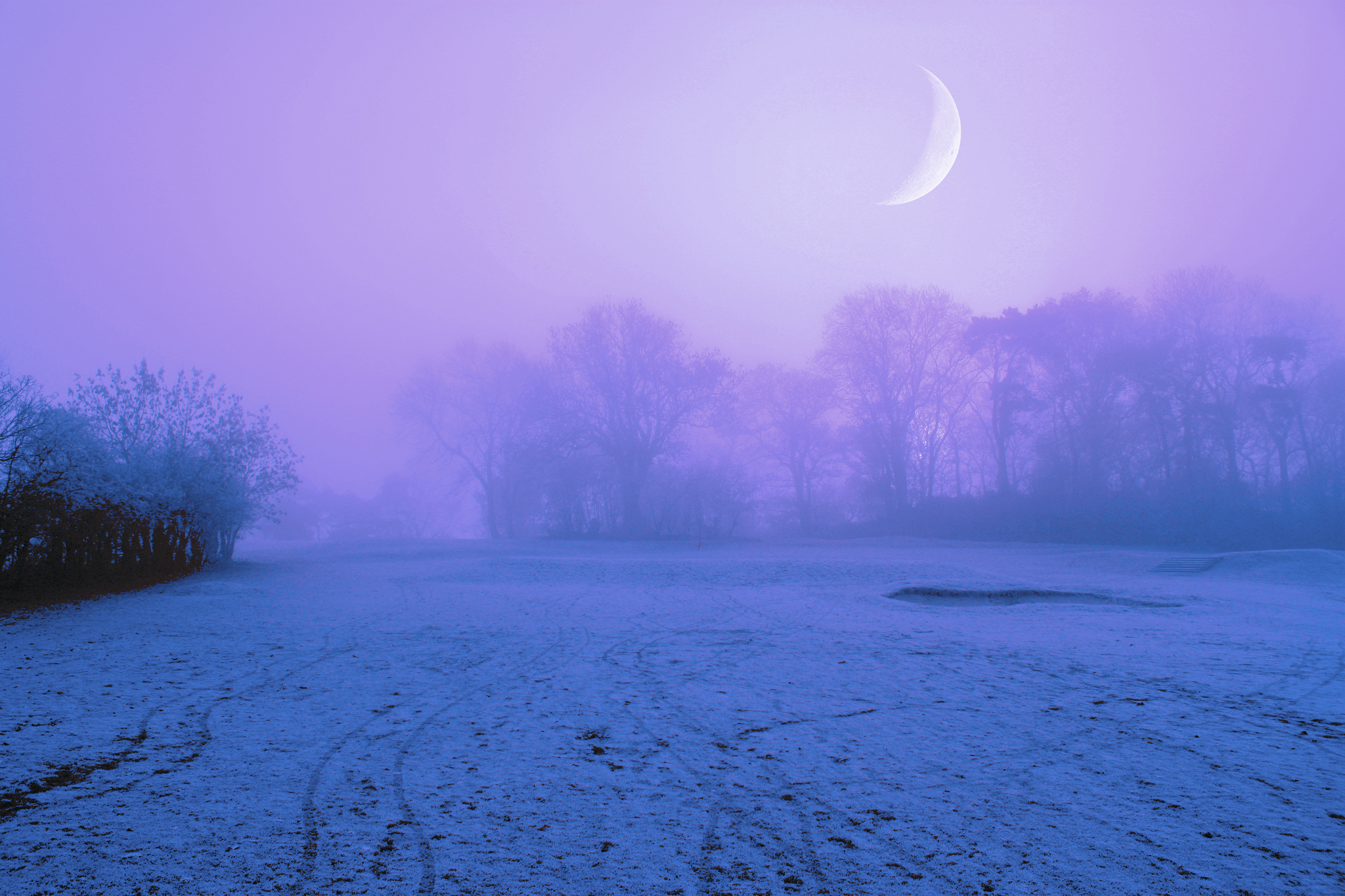 Free download Winter snow fields trees fog night purple sky moon gondolin [2048x1365] for your Desktop, Mobile & Tablet. Explore Snowy Moonlight Wallpaper. Snowy Mountain Wallpaper, Moonlight Wallpaper, Snowy Background