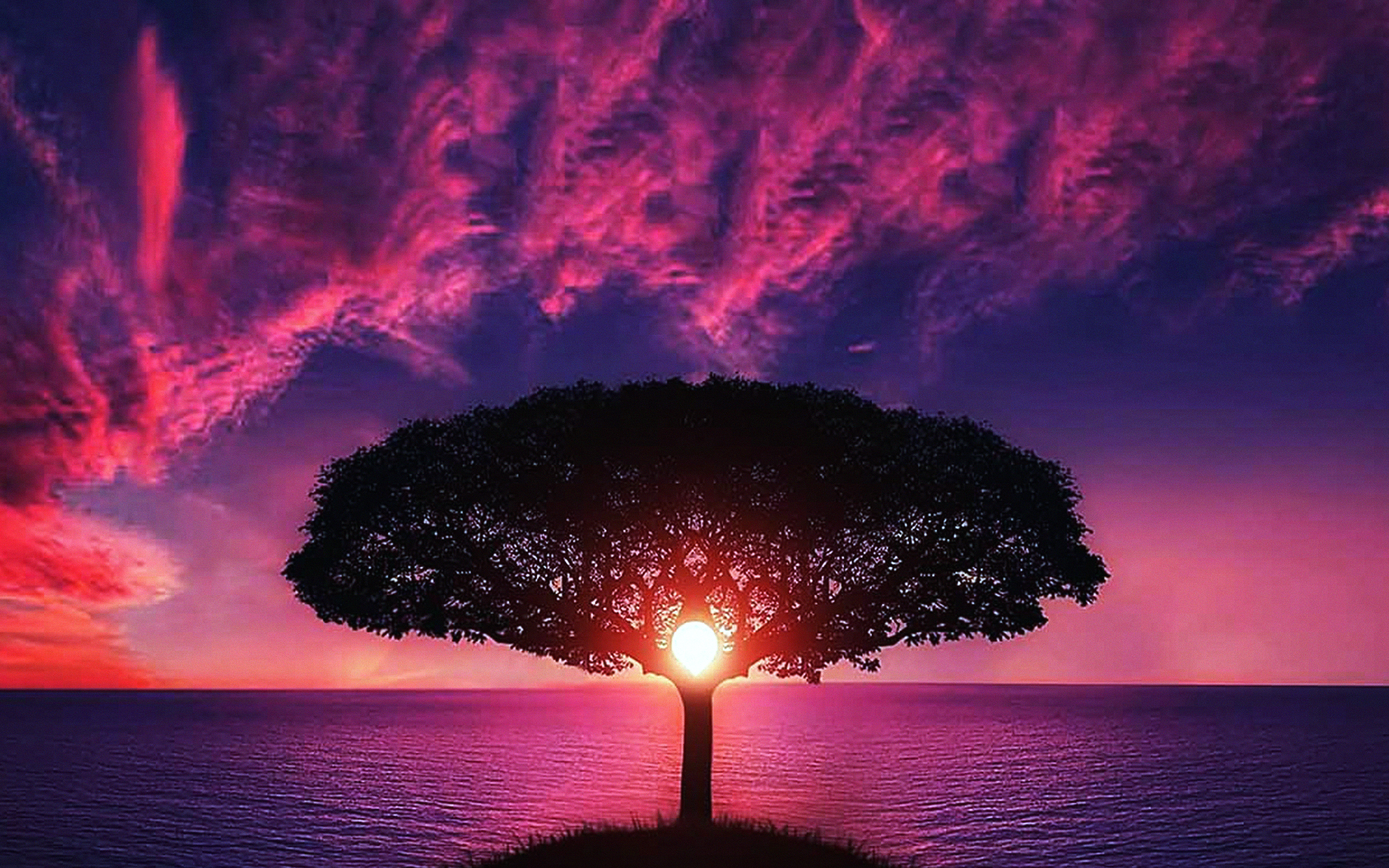 wallpaper for desktop, laptop. sea tree purple sky nature red