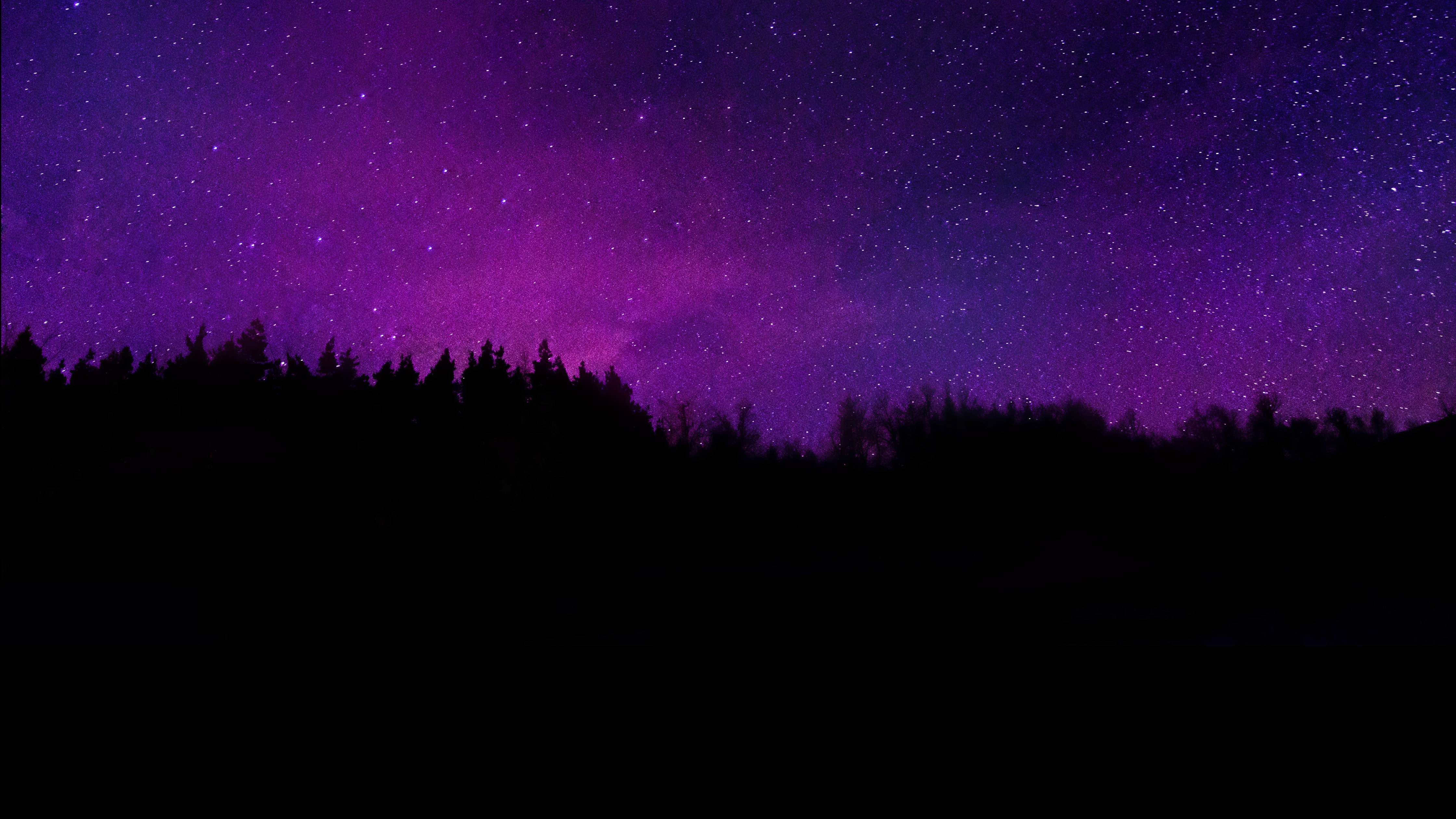 Trees Wallpaper 4K, Silhouette, Purple sky
