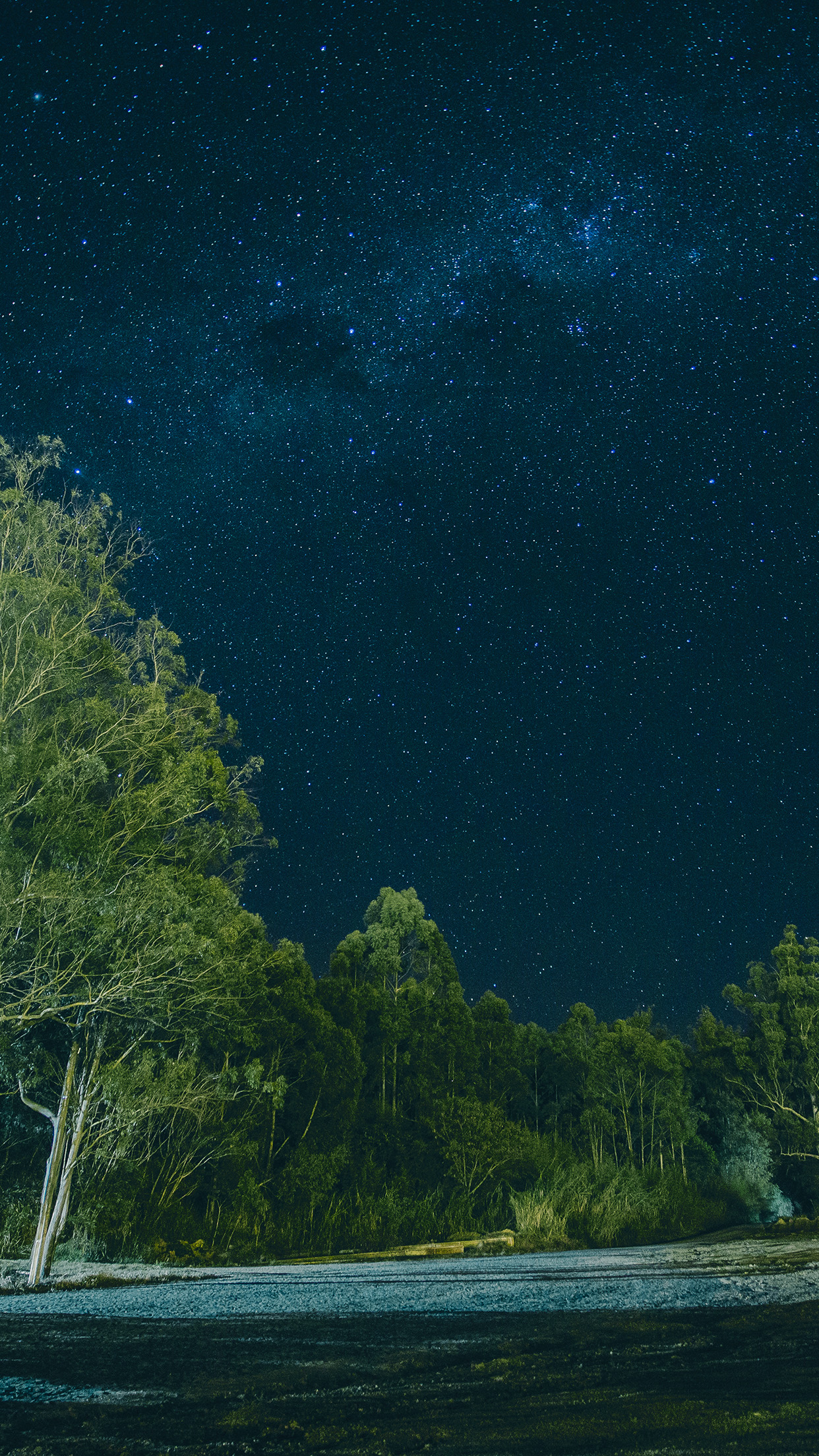 iPhone X wallpaper. night galaxy sky star nature wood forest