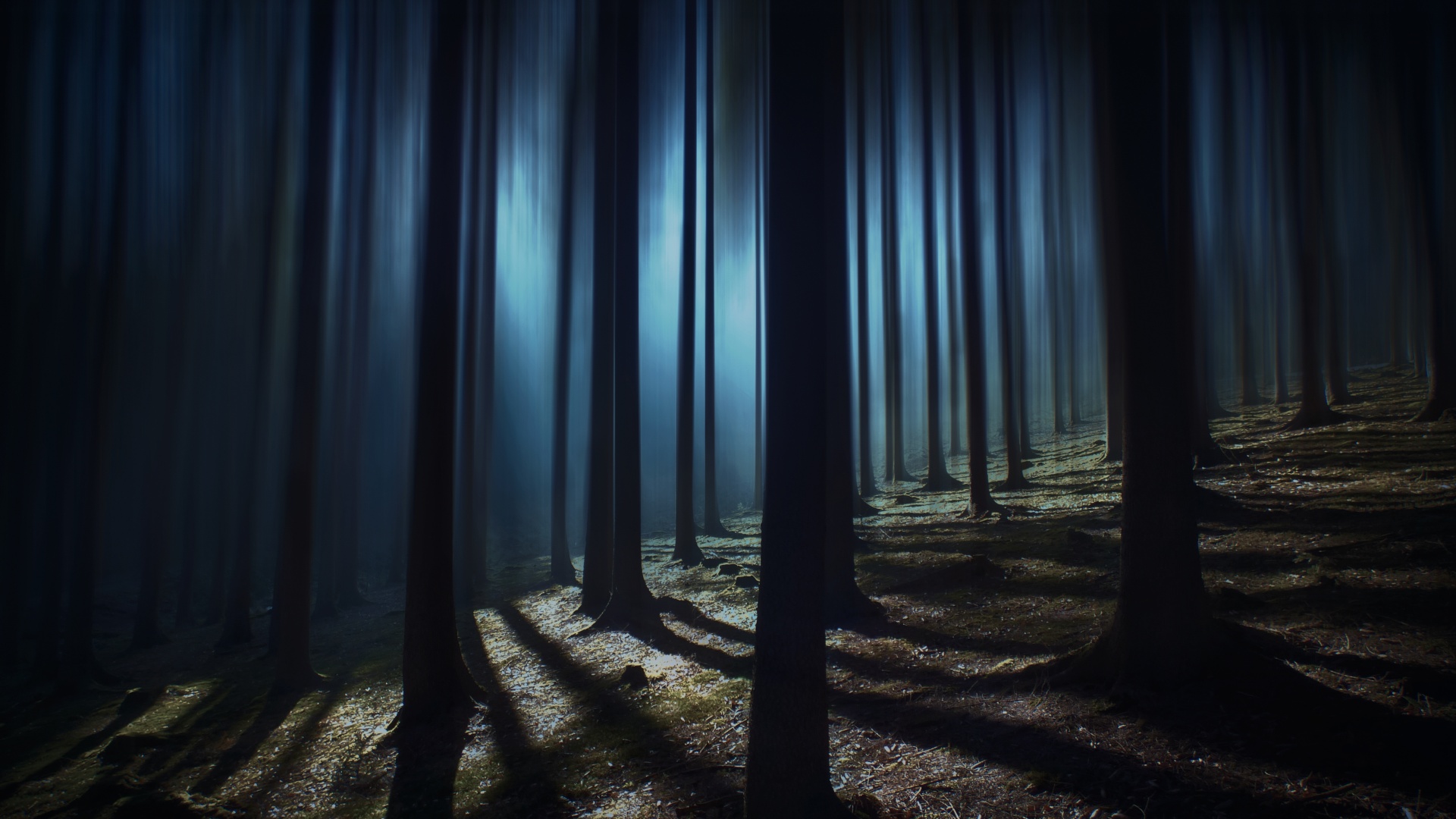 Dark Forest Wallpaper 4K, Woods, Night time, Dark, Shadow