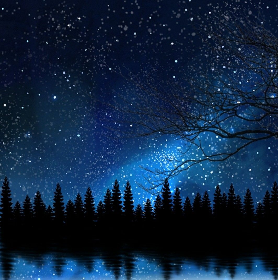 Free download Beautiful forest night wallpaper Beautiful forest Natural [1064x1069] for your Desktop, Mobile & Tablet. Explore Beautiful Night Forest Wallpaper. Beautiful Forest Wallpaper, Beautiful Forest Wallpaper, Beautiful Good Night Wallpaper