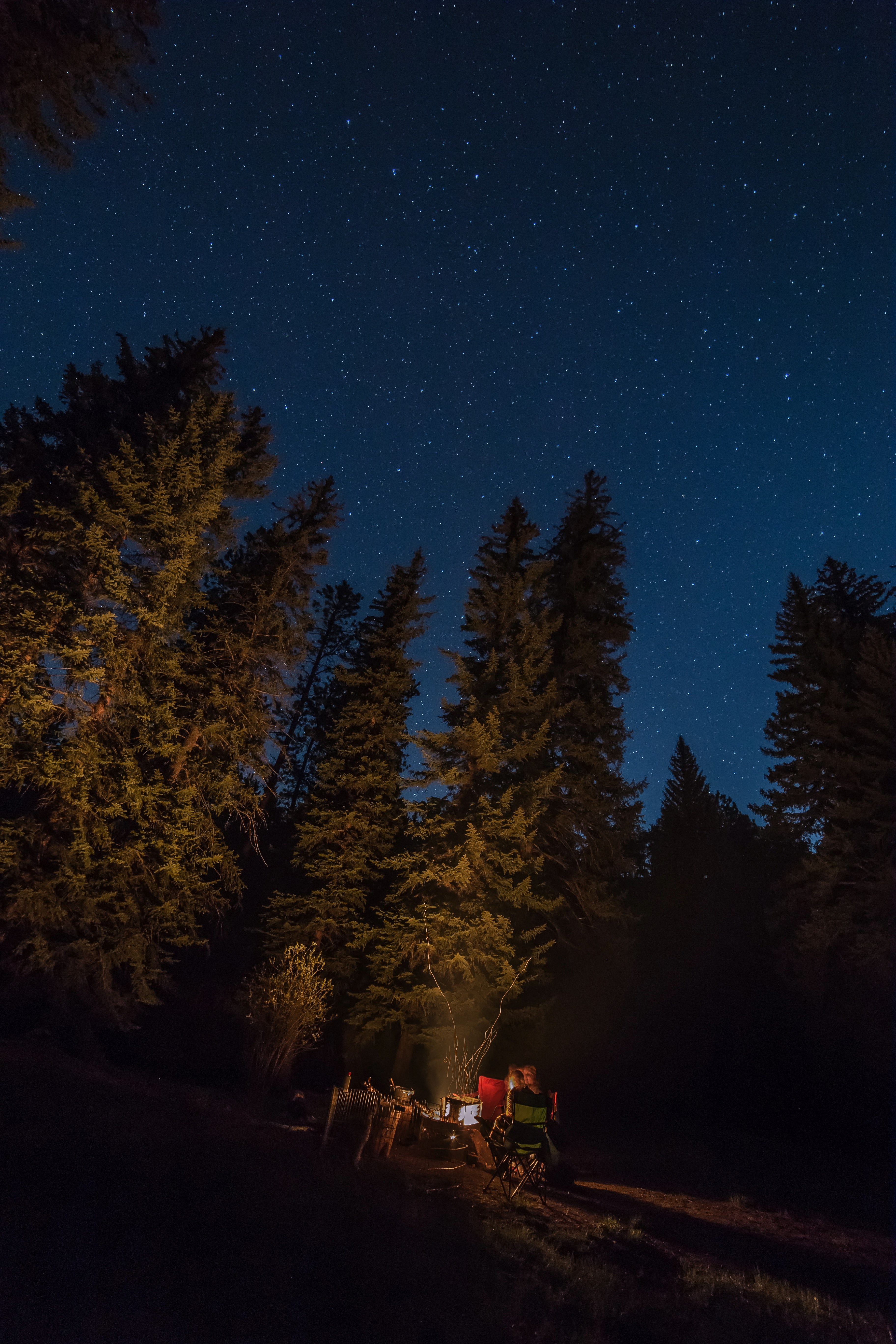 Wallpaper / camping in the woods on a clear starry night, campers by a fire 4k wallpaper free download