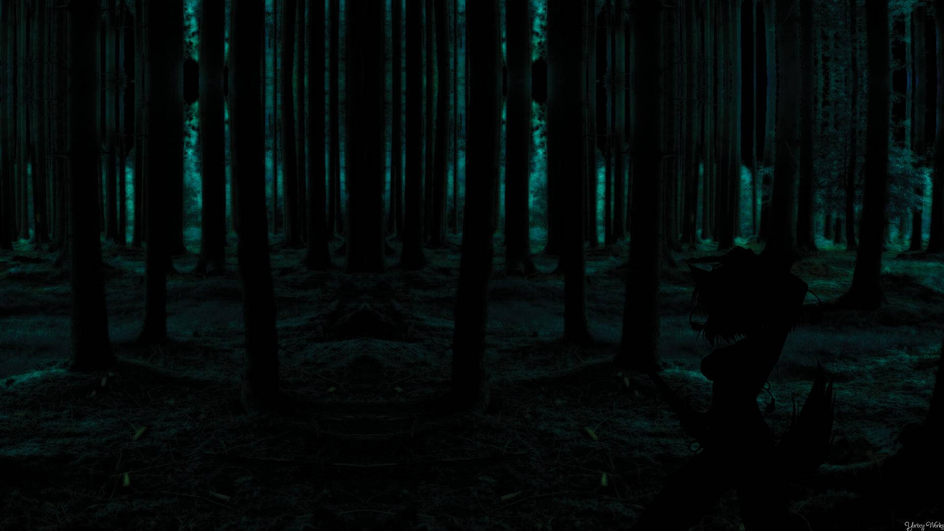 Download Embrace the tranquility of a lone, dark forest at night Wallpaper
