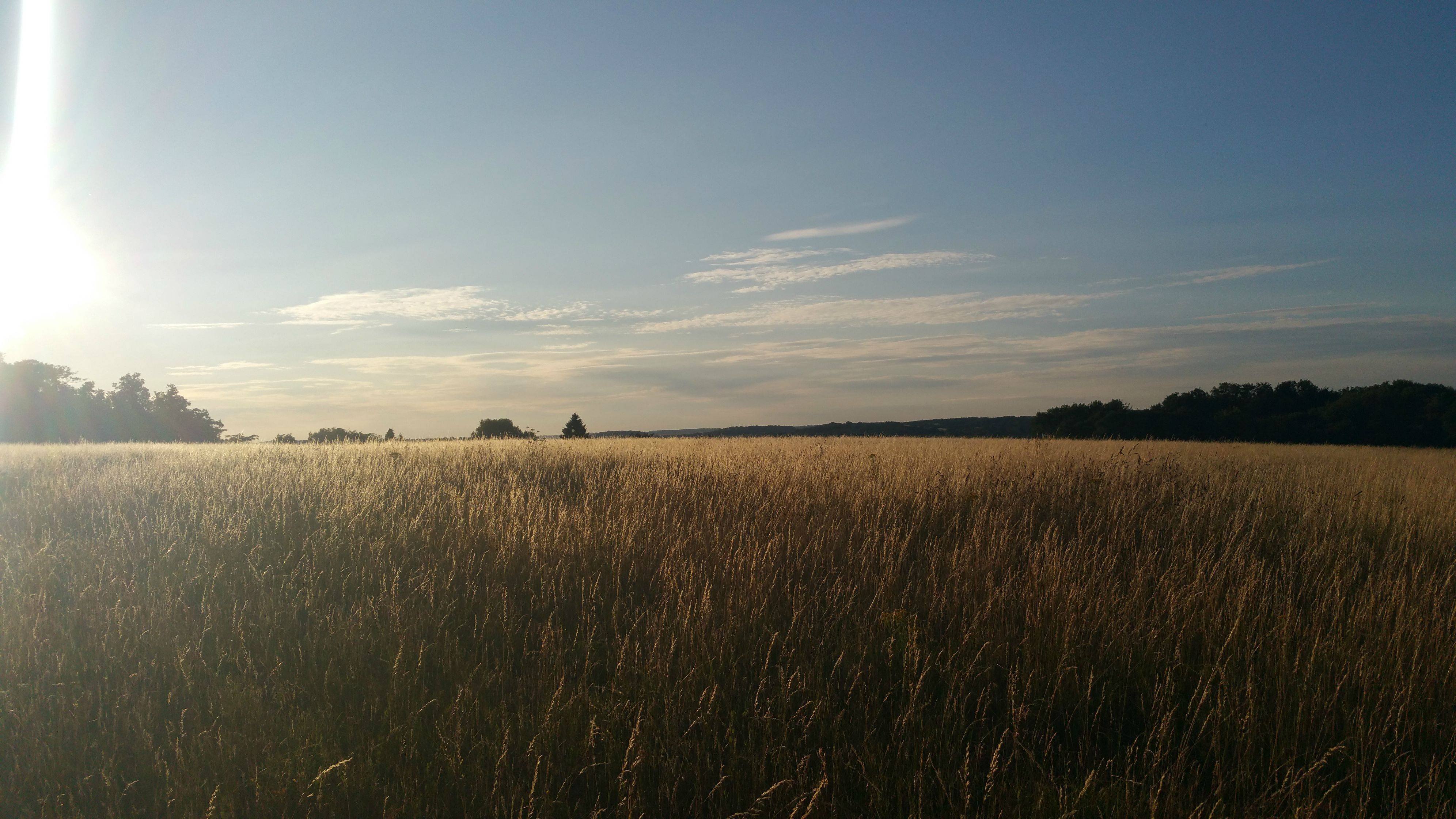 of Hope 4K wallpaper for your desktop or mobile screen