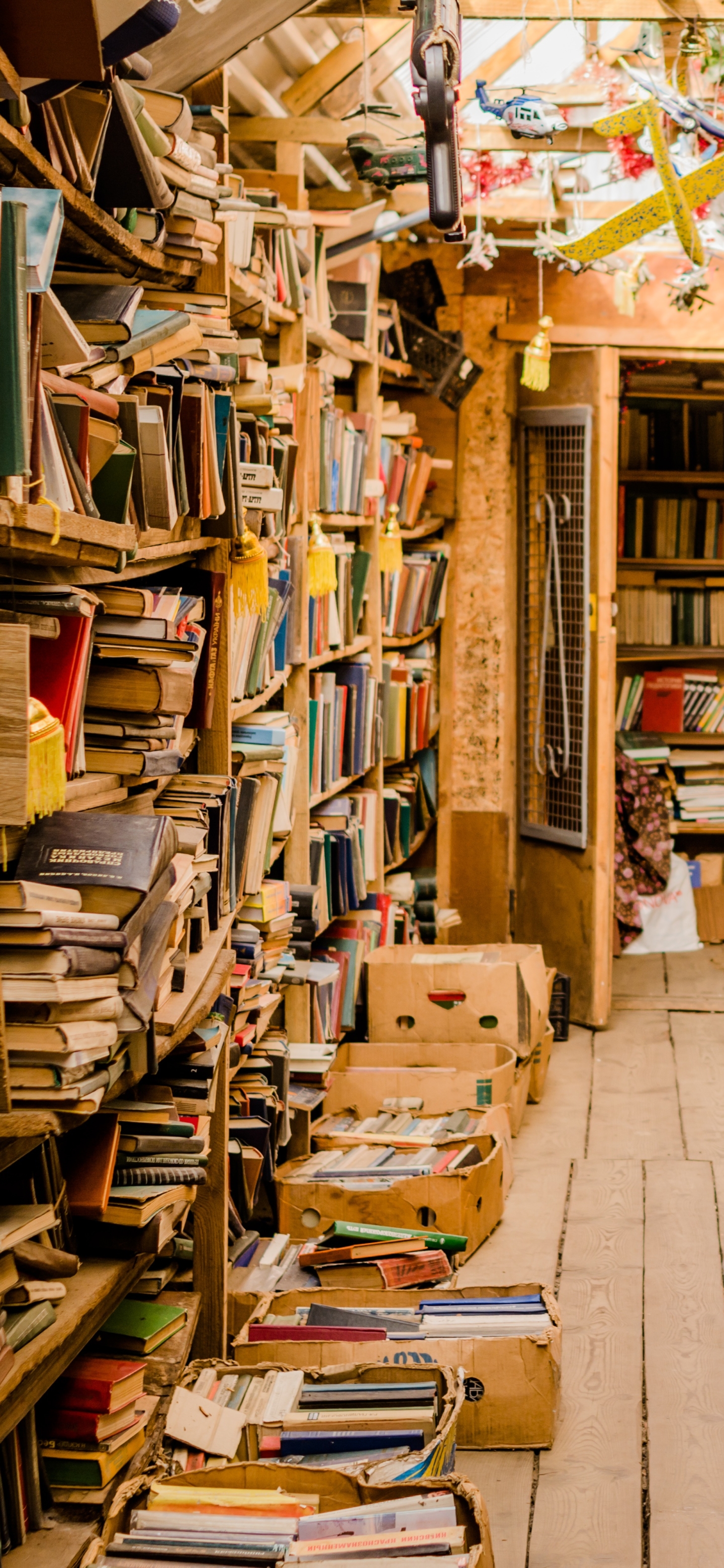 Library Phone Wallpaper