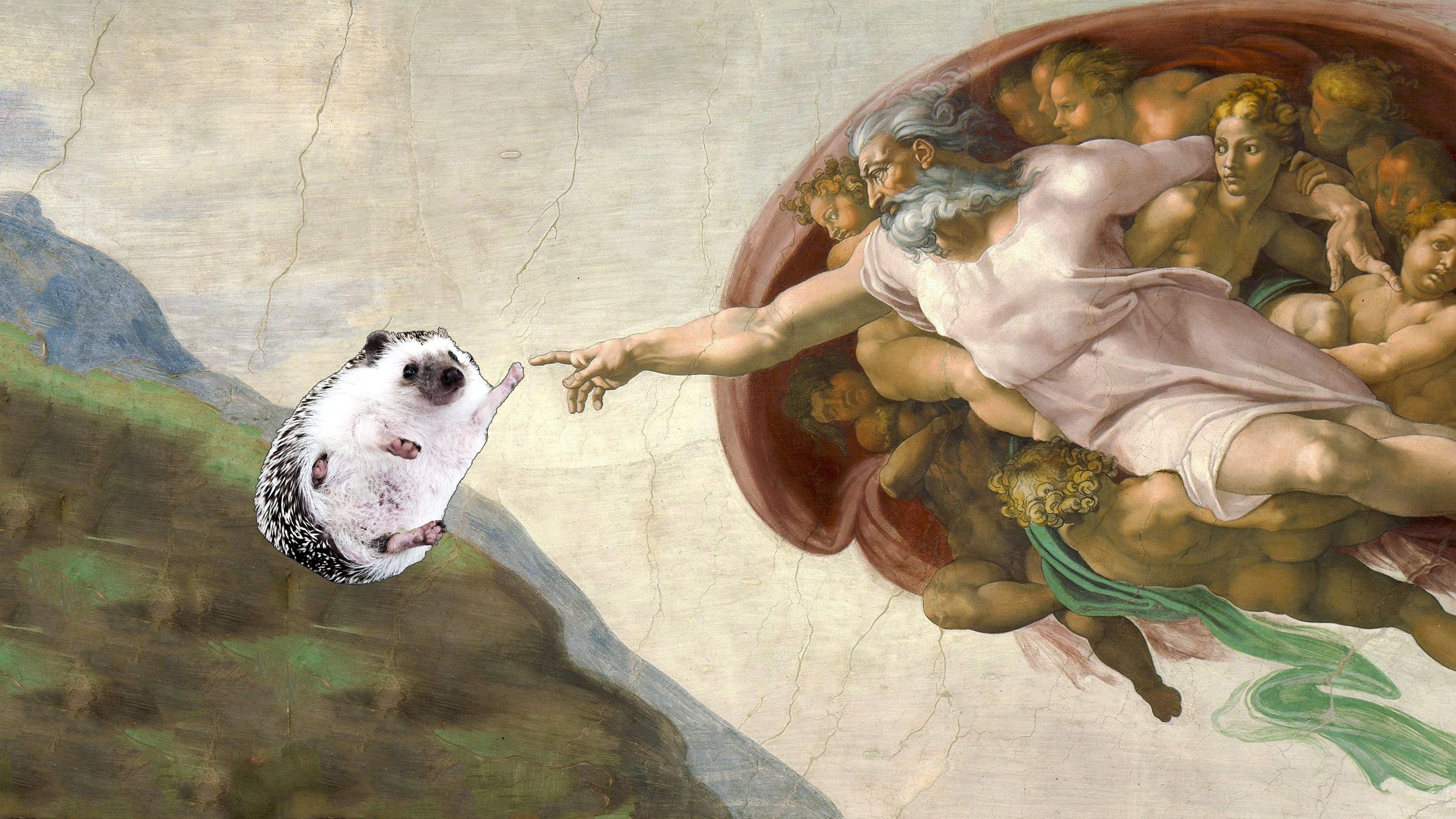 Wallpaper, hedgehog, The Creation of Adam, Michelangelo, classical art, humor, 4k 3840x2160