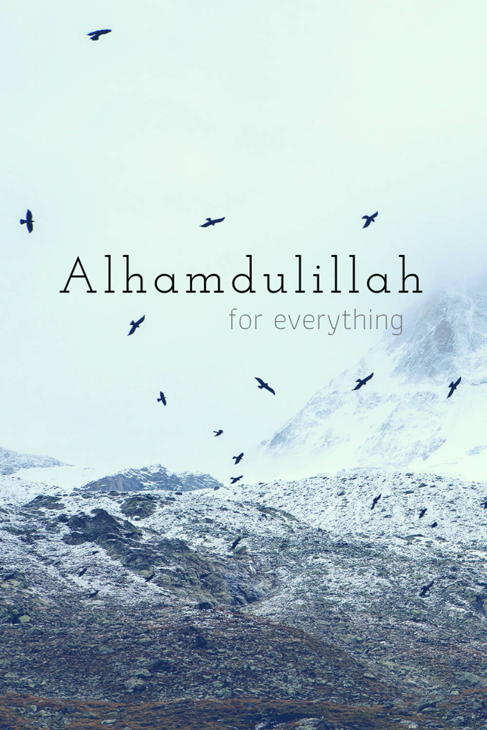 Download Alhamdulillah Birds And Mountains Wallpaper