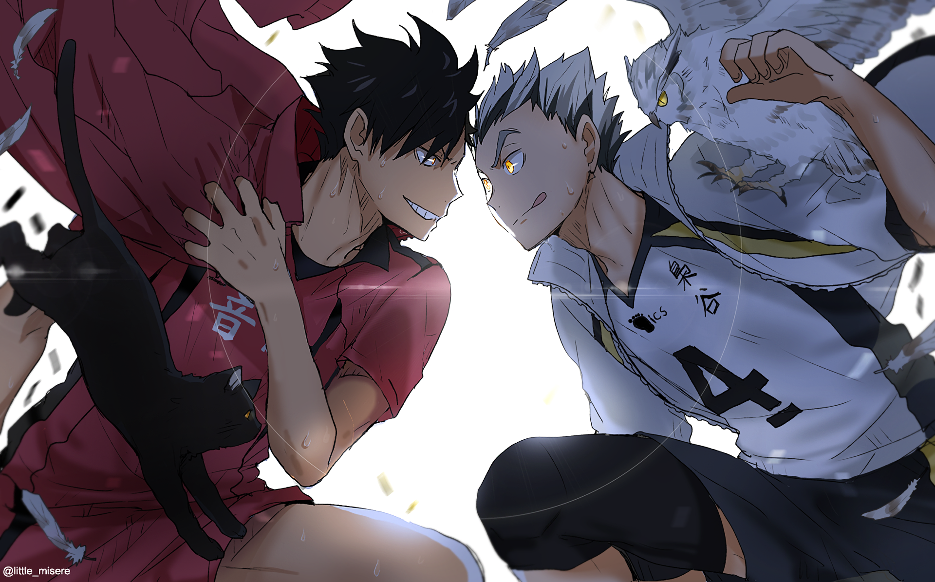 Haikyu!! HD Wallpaper and Background