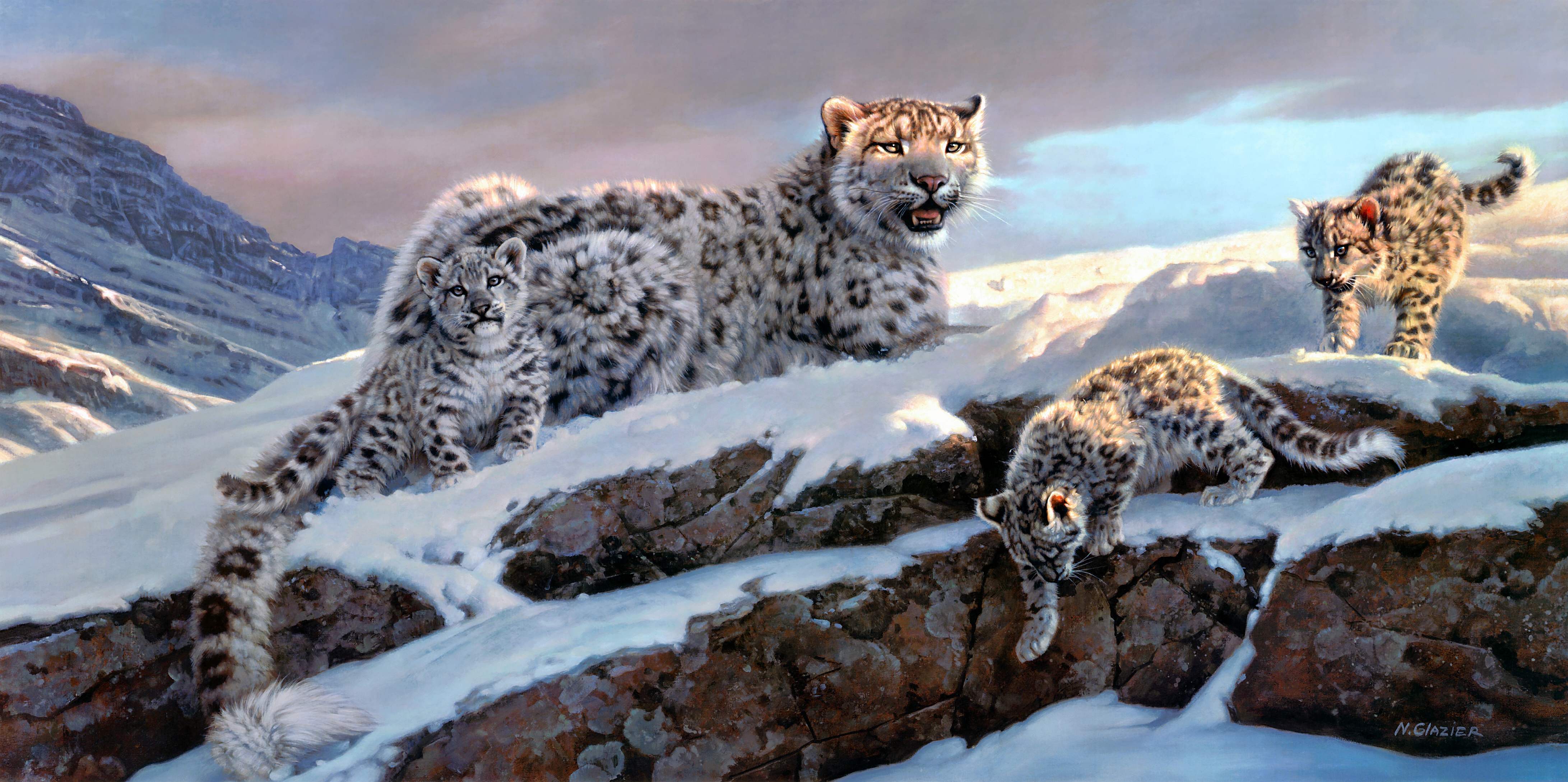 Animal Snow Leopard 4k Ultra HD Wallpaper