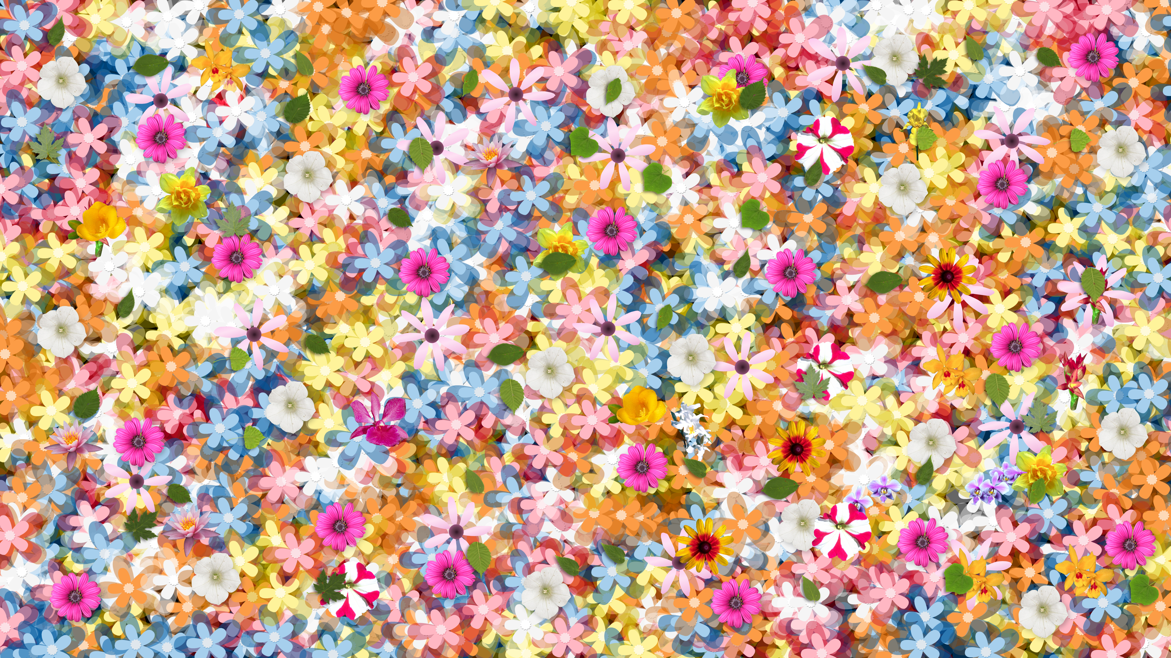 Floral HD Wallpaper and Background