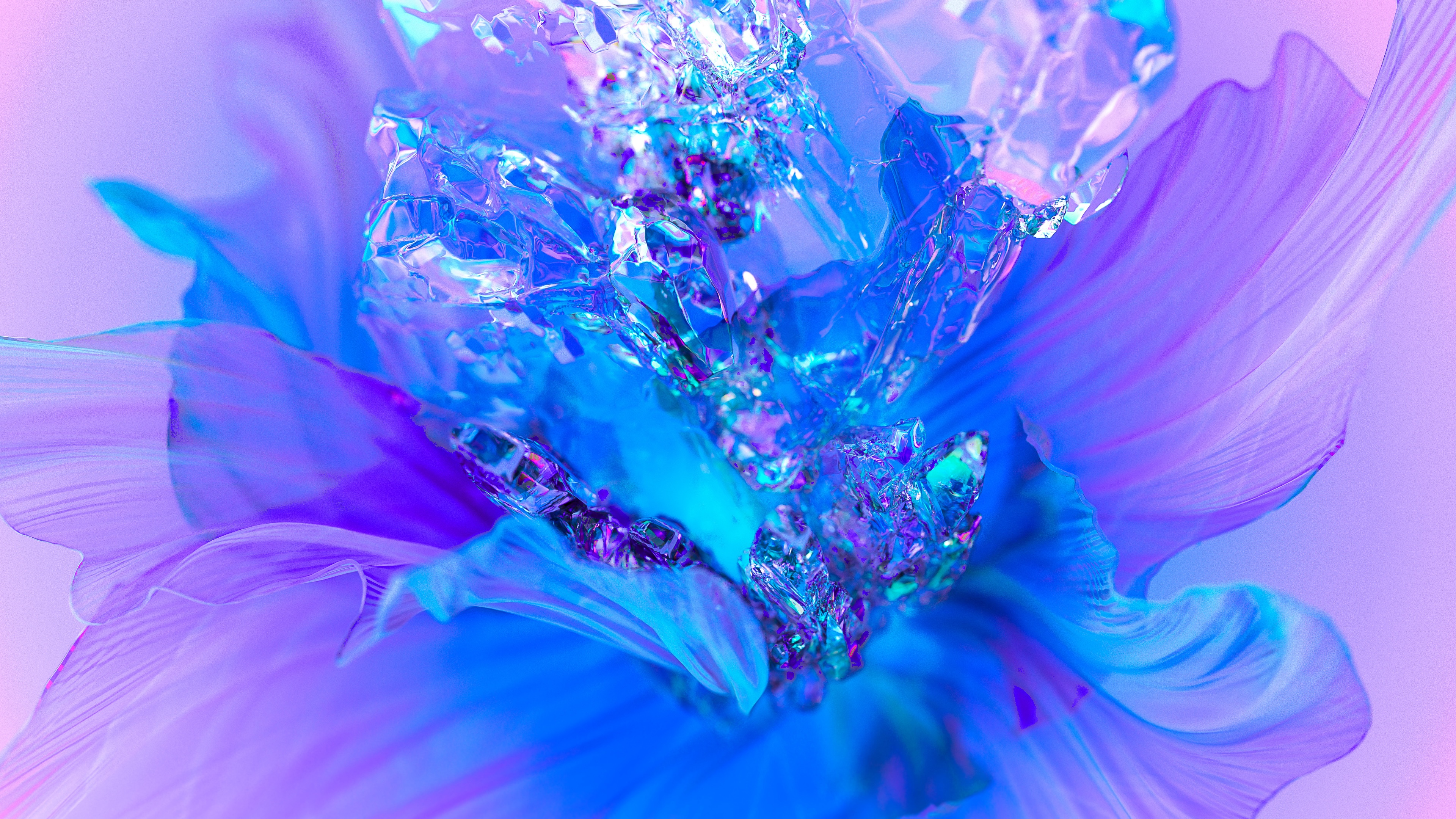 Purple Flower Wallpaper 4K, Floral Background, Colorful