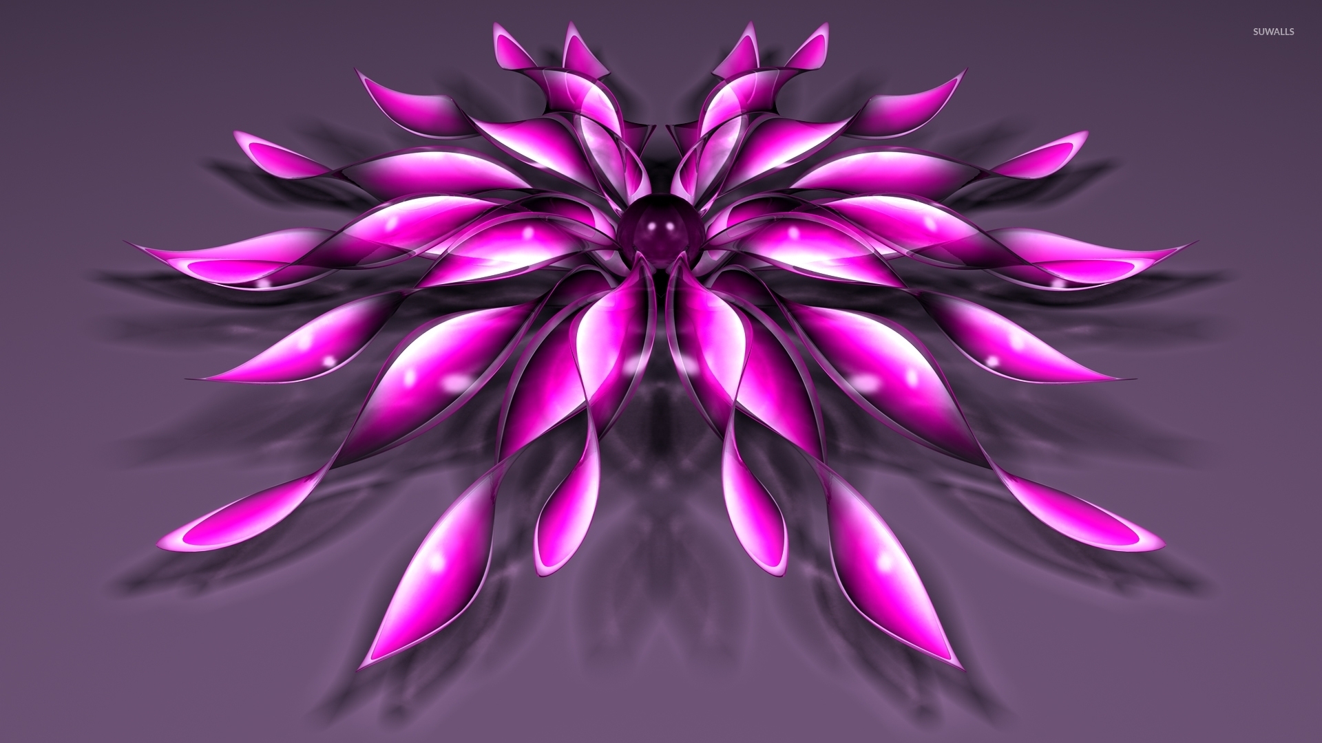 Pink flowers with a purple core wallpaper wallpaper