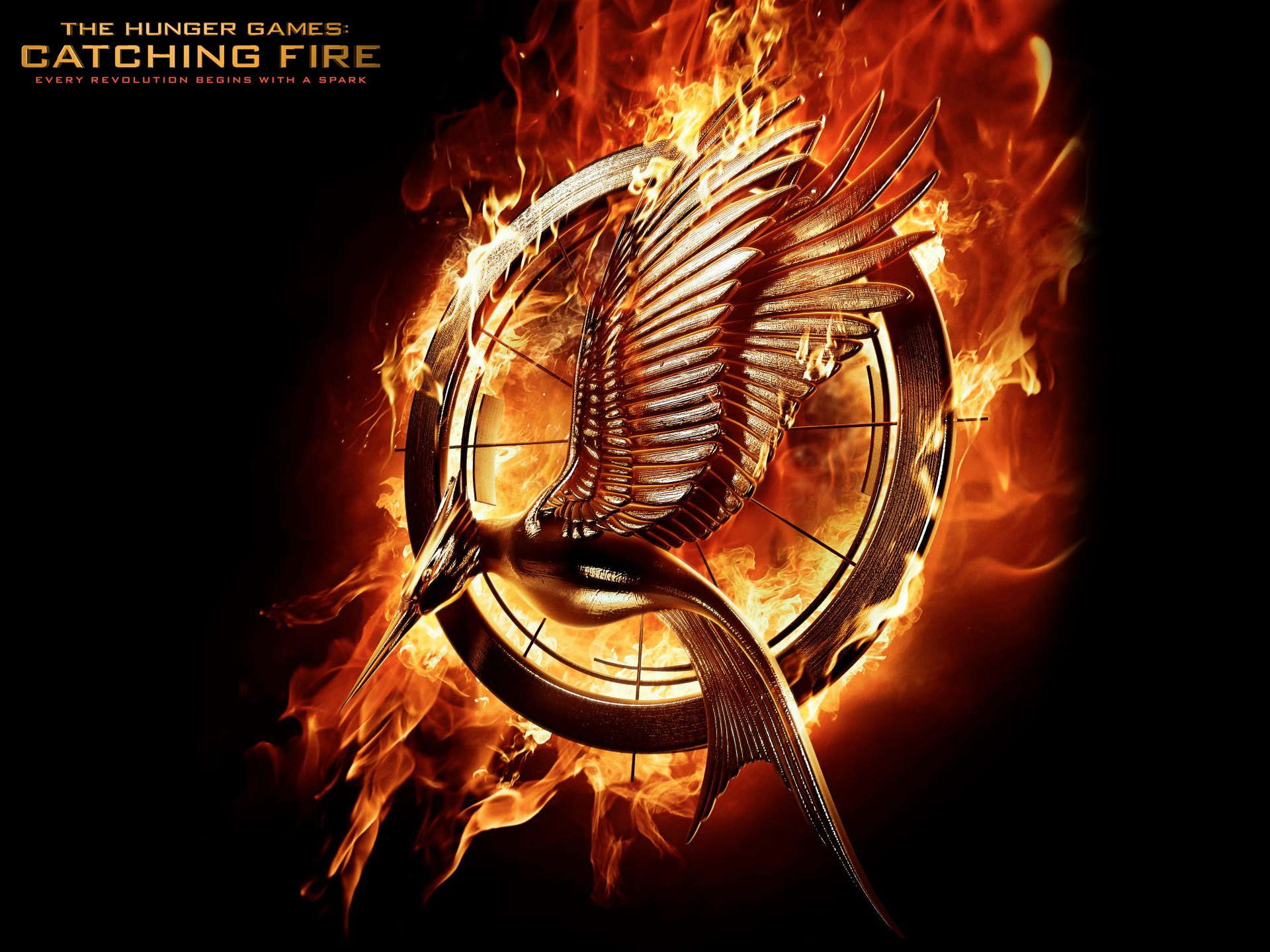 The Hunger Games: Catching Fire HD Wallpaper and Background