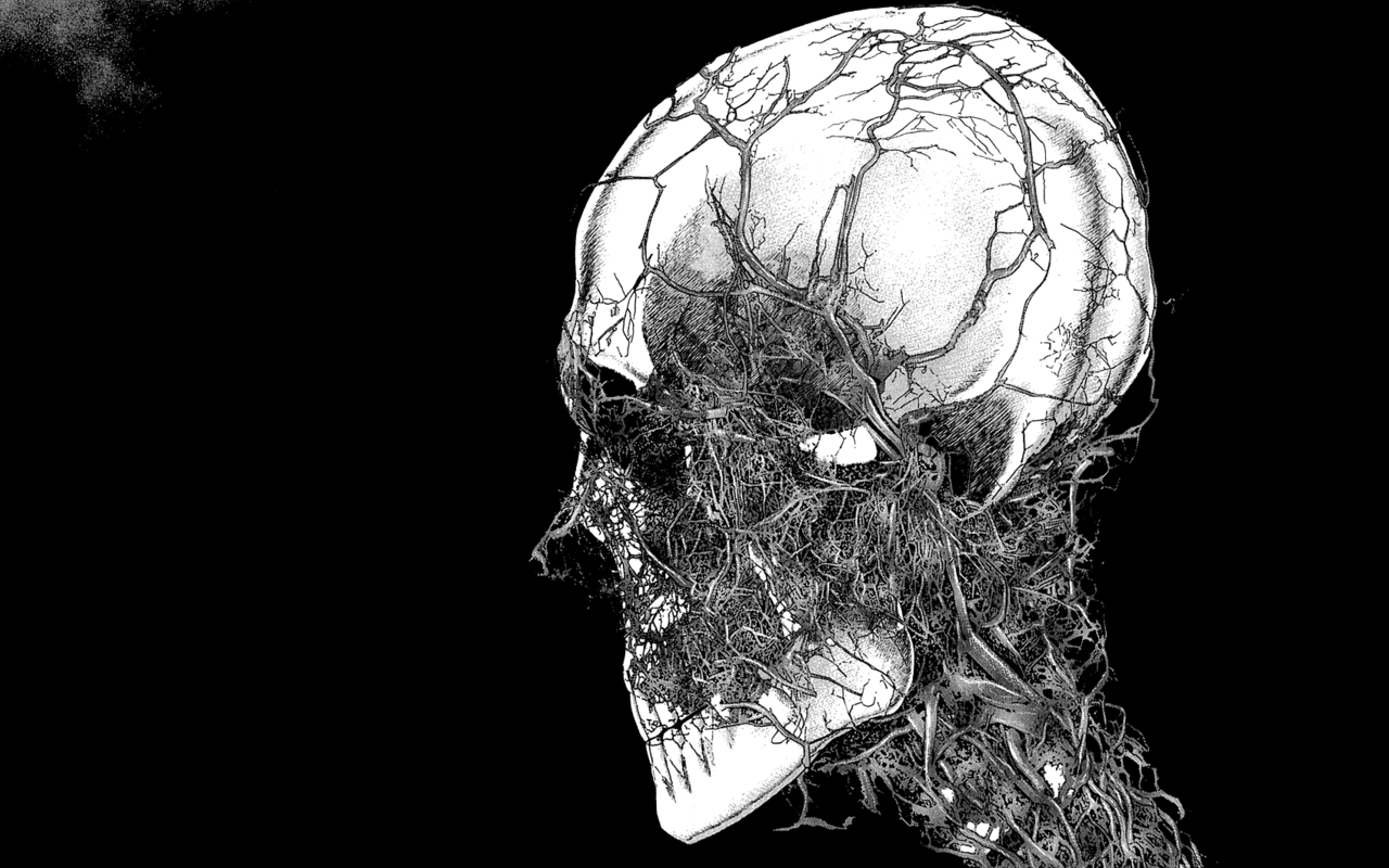 Free download definition wallpapercomphotoskull wallpaper for windows 729html [1280x800] for your Desktop, Mobile & Tablet. Explore Skull Wallpaper for Windows 7. Background For Windows 7, Cool Wallpaper For Windows 7, Wallpaper For Windows 7