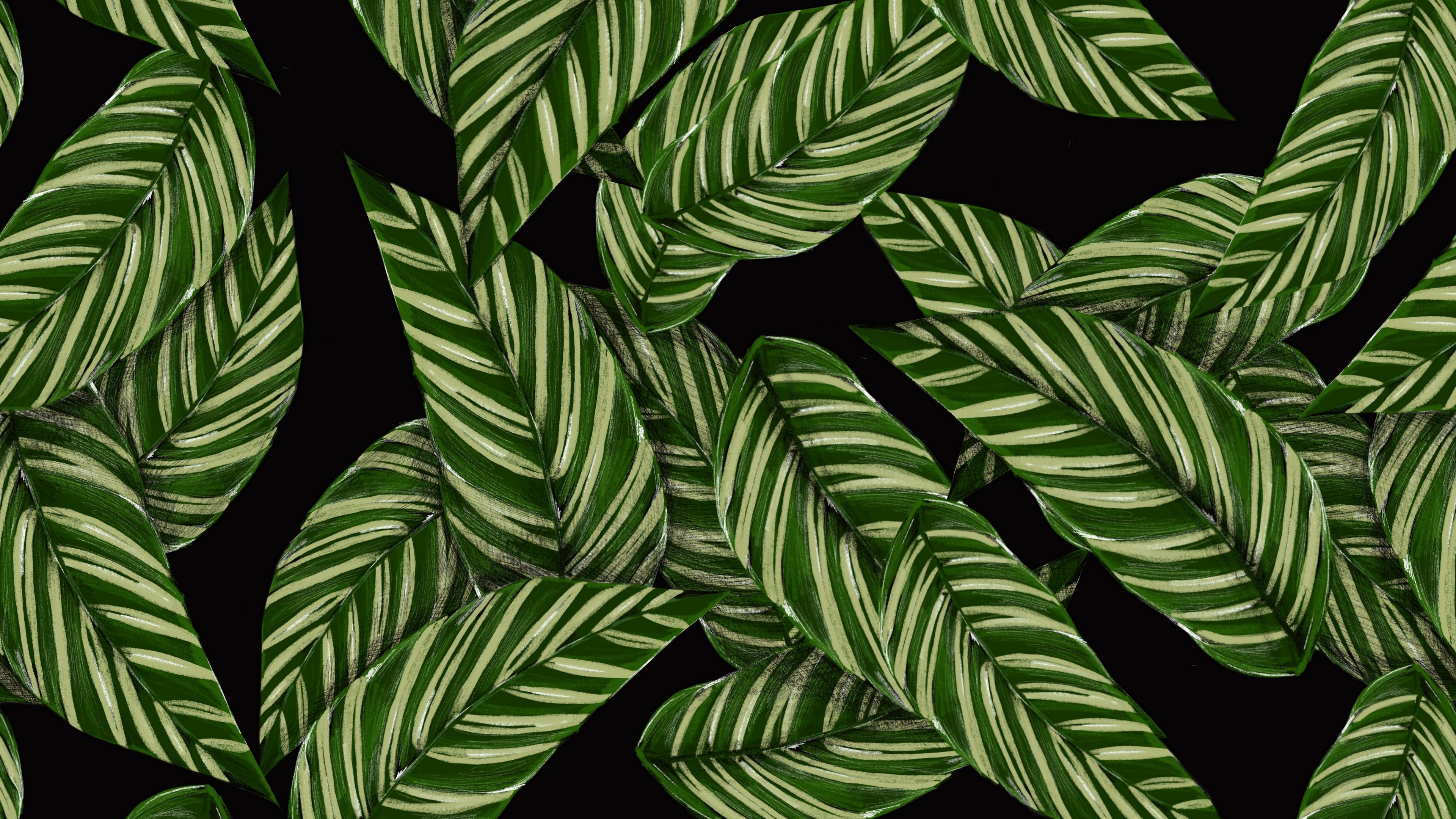 Wallpaper / leaves, patterns, texture, green, black, 4k free download