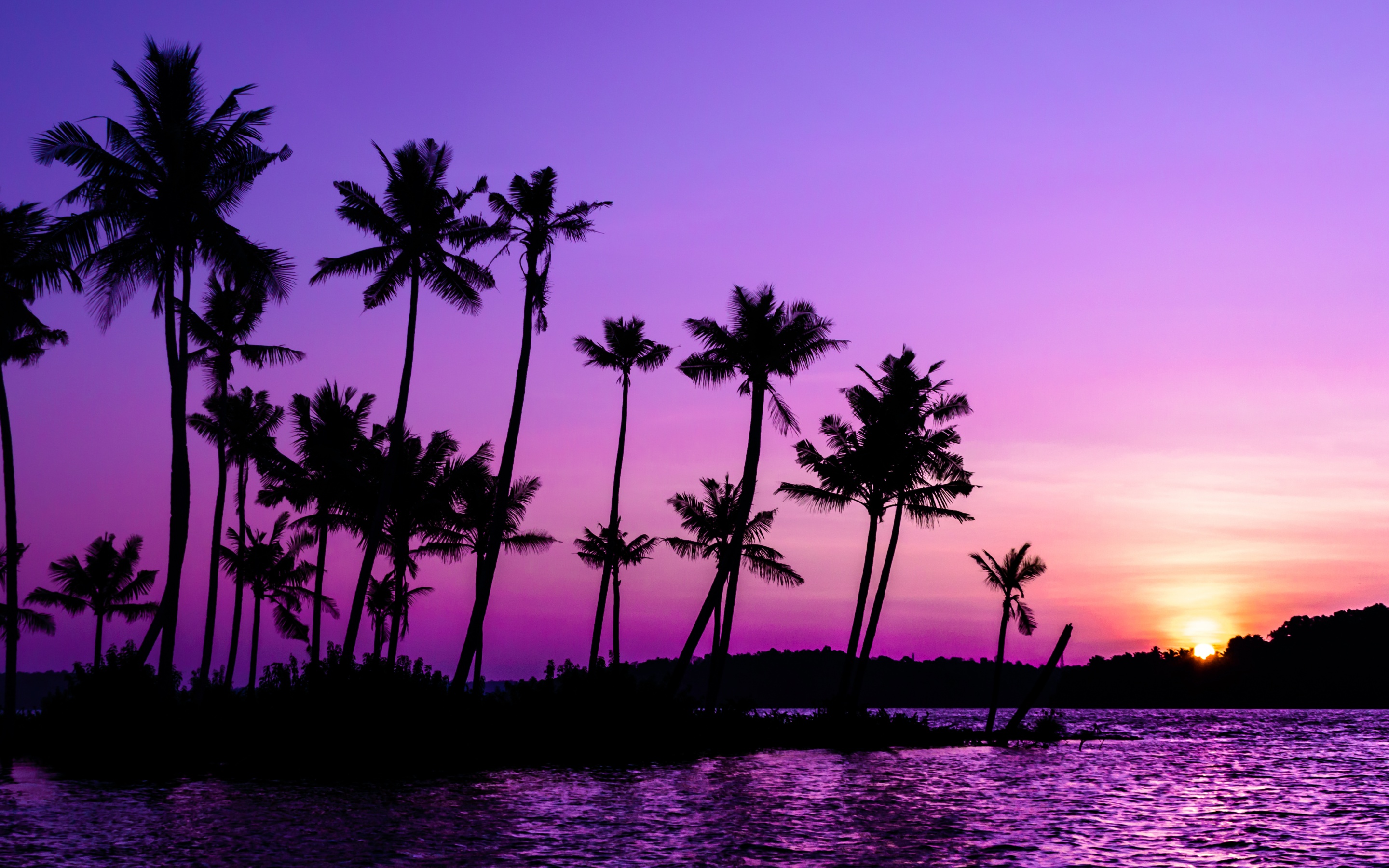 Purple Sunrise Wallpaper 4K, Clear sky, Palm trees, Scenery
