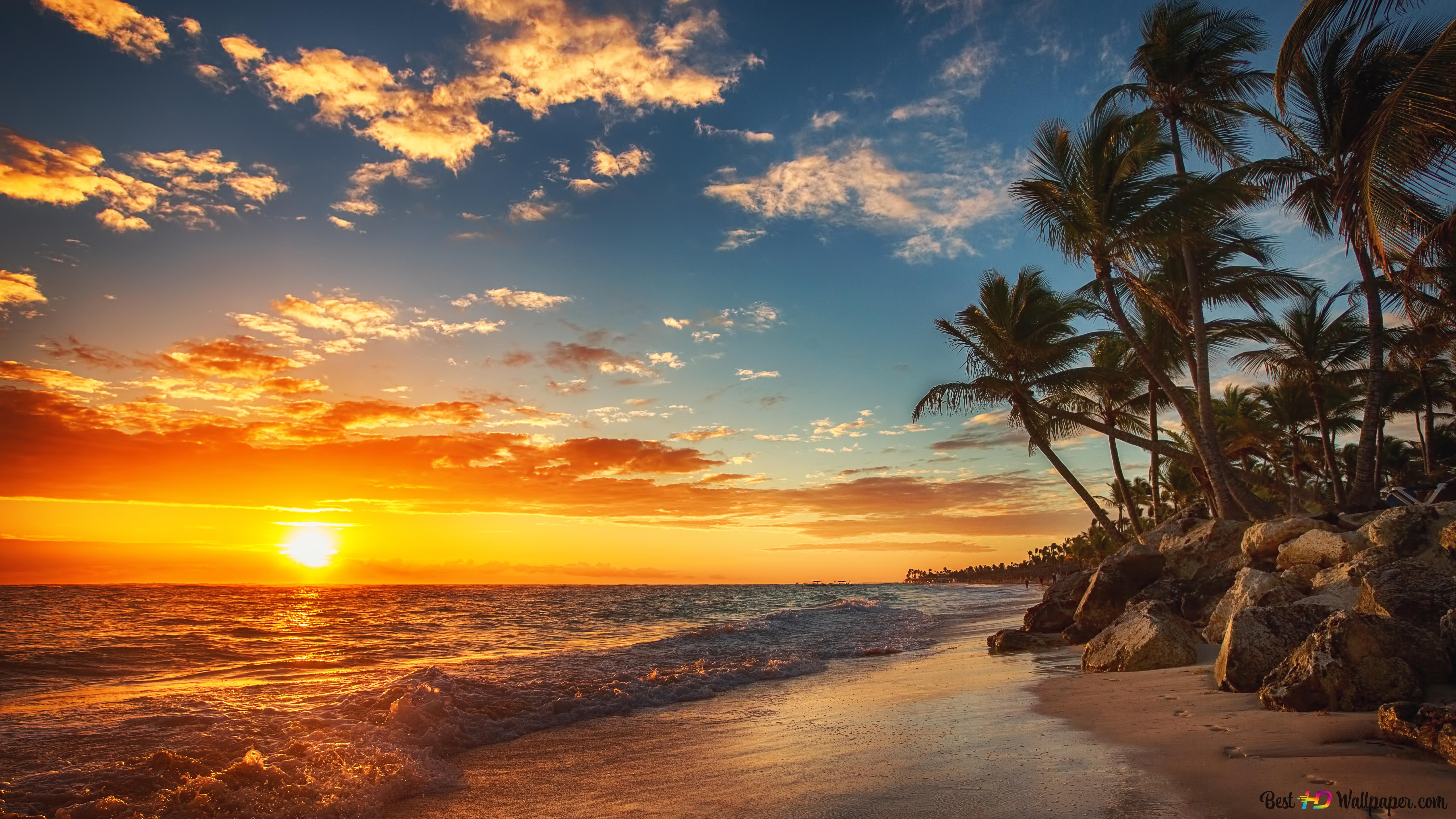 Tropical sunset and palm trees on the sea beach 4K wallpaper download