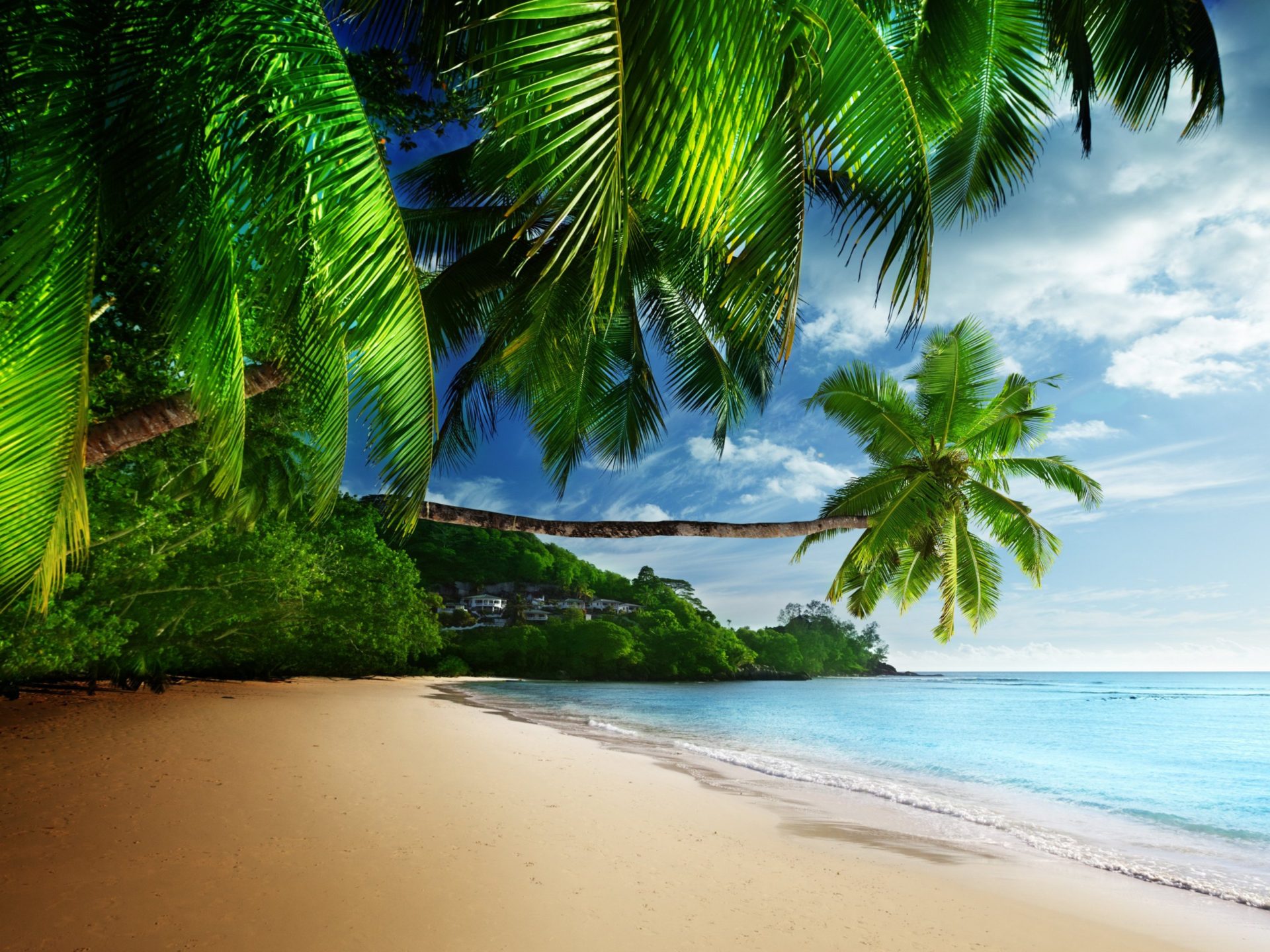 Takamaka Seychelles Tropical Coast Sea Sand Beach Palms Waves Blue Sky Full HD 4k Wallpaper For Deskx2160, Wallpaper13.com