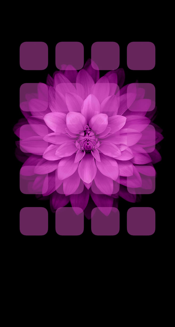 Shelf purple black flowers. wallpaper.sc iPhone5s, SE