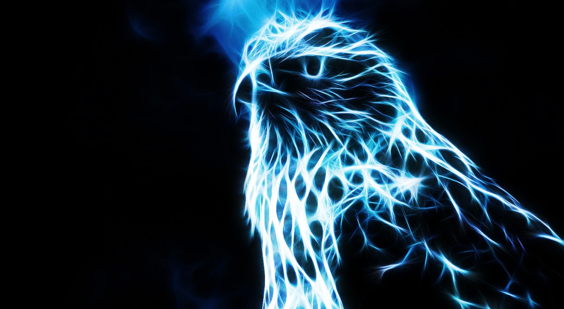 Falcon HD Wallpaper and Background