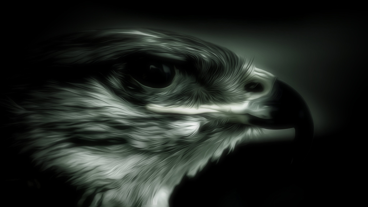 Vintage Falcon 4K Wallpaper For Your XFCE Desktop