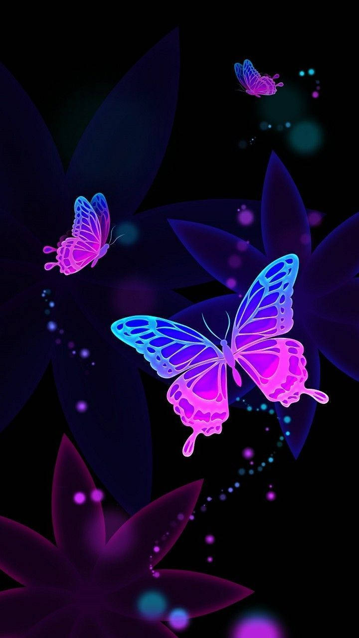 Download Vibrant Butterfly iPhone Screen Display Wallpaper