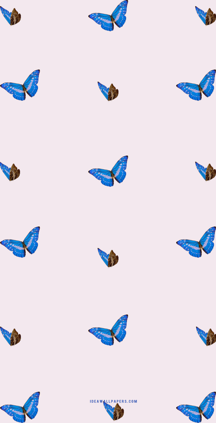 Butterfly iphone background Wallpaper